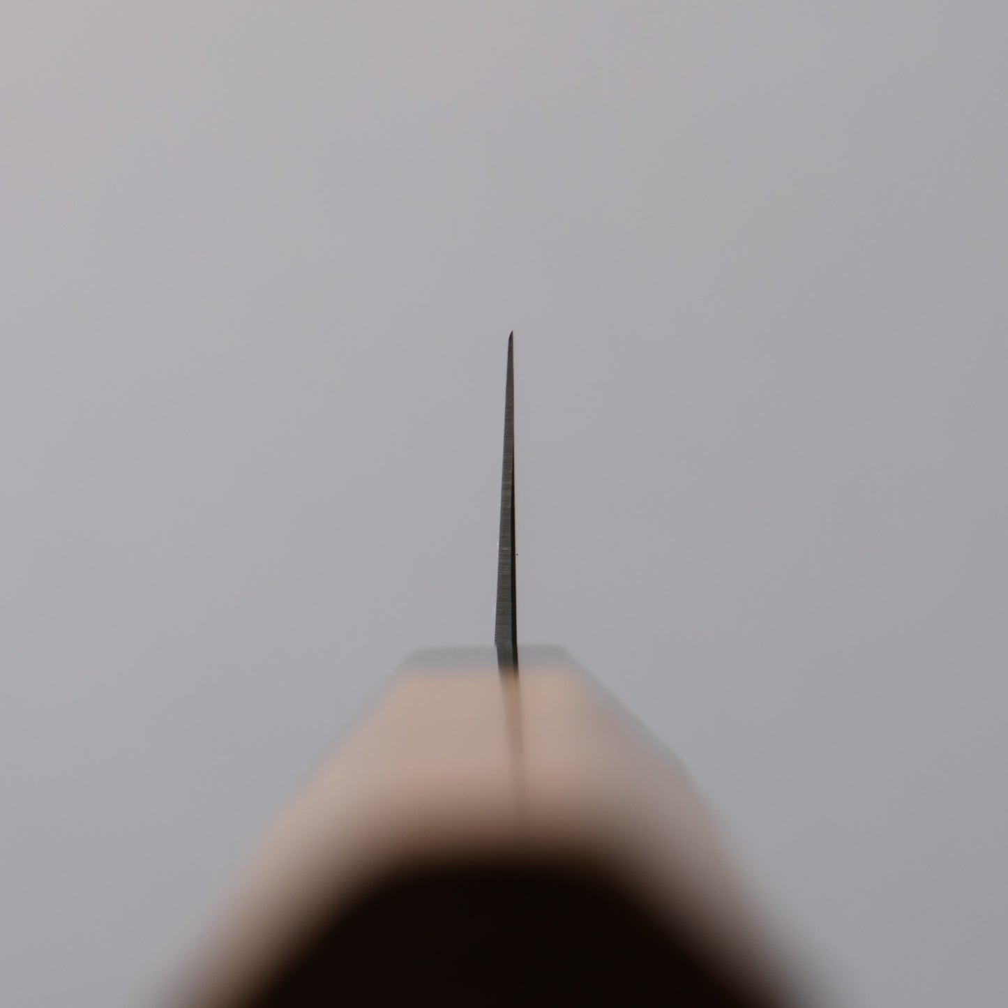 清助 SG2 切付ペティナイフ 150mm チーク (口輪:黒水牛)柄 - 清助刃物