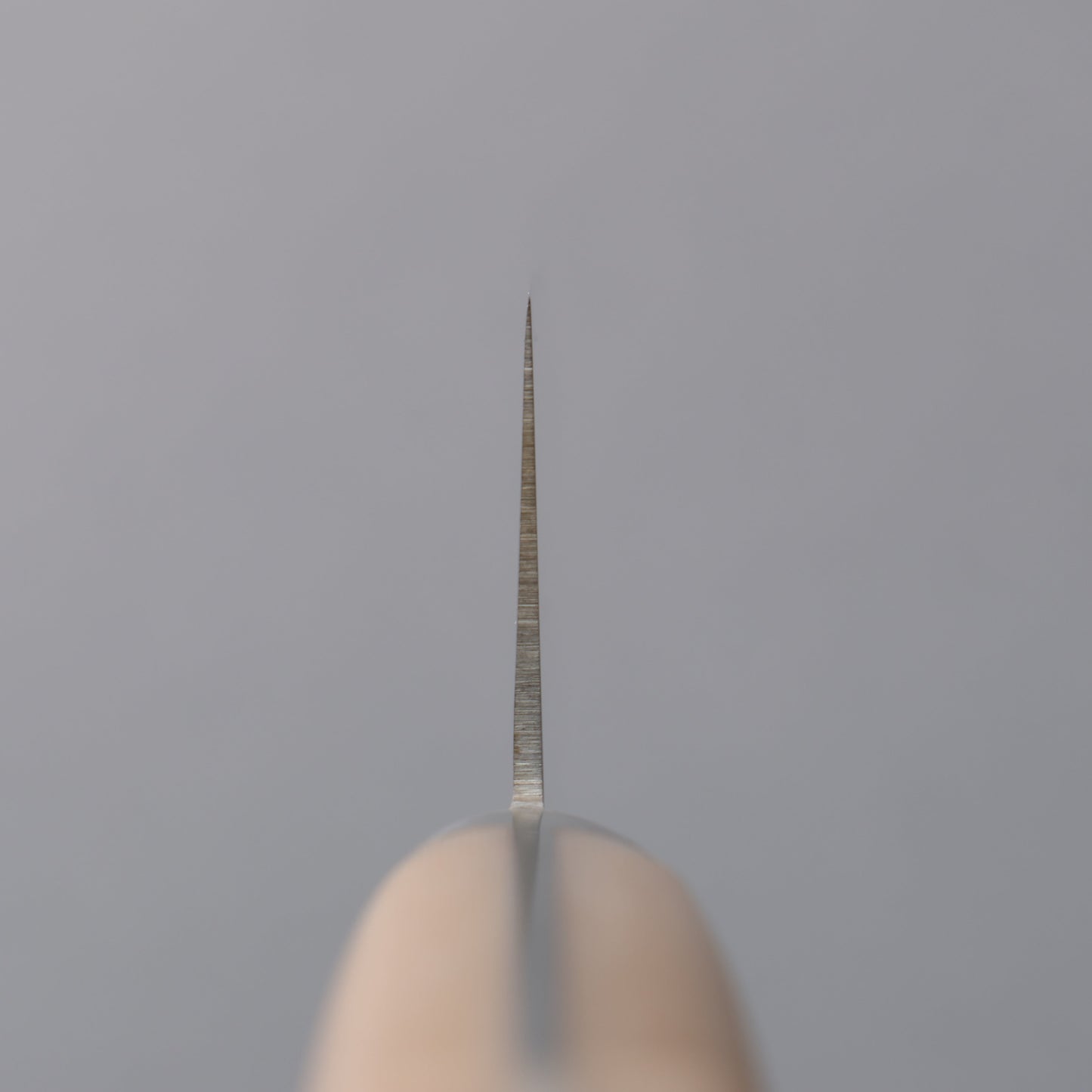 ANNE ステンレス鋼 牛刀包丁 180mm マイカルタ柄 - 清助刃物