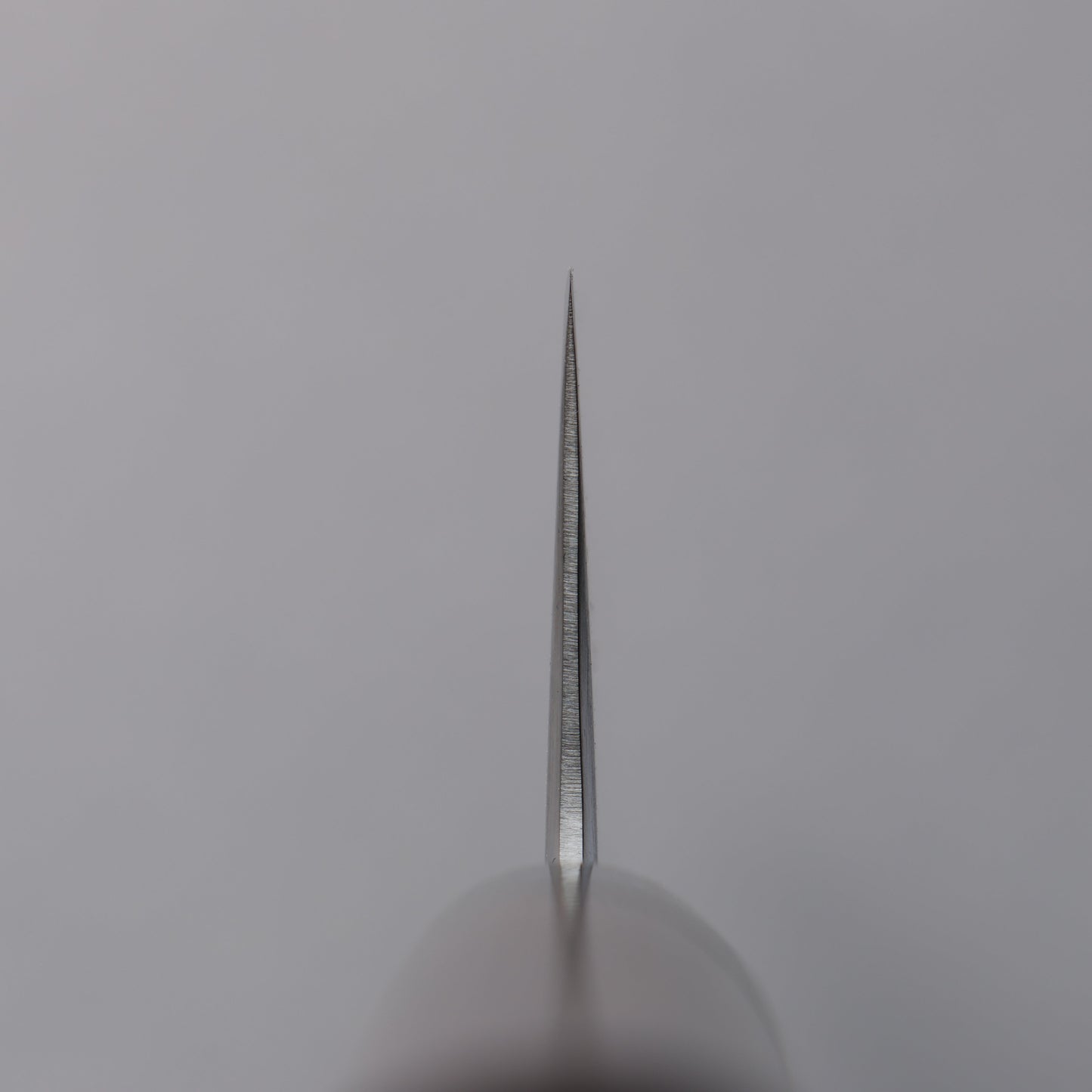 清助 SRS13 磨き仕上げ 切付牛刀包丁 240mm 紫檀 (口輪:黒合板)柄 - 清助刃物