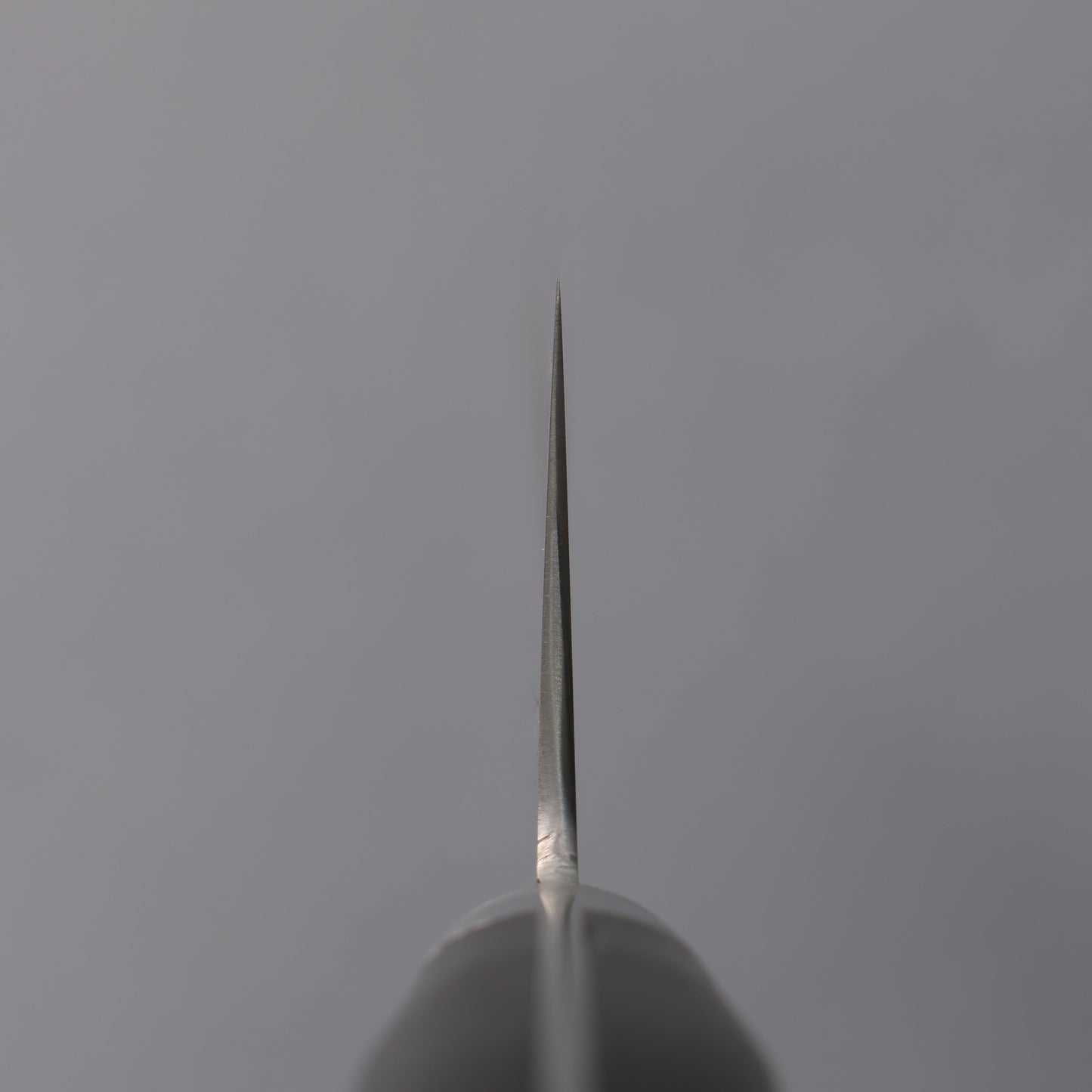 清助 スウェーデン鋼 牛刀サーモン 240mm 黒合板柄 - 清助刃物