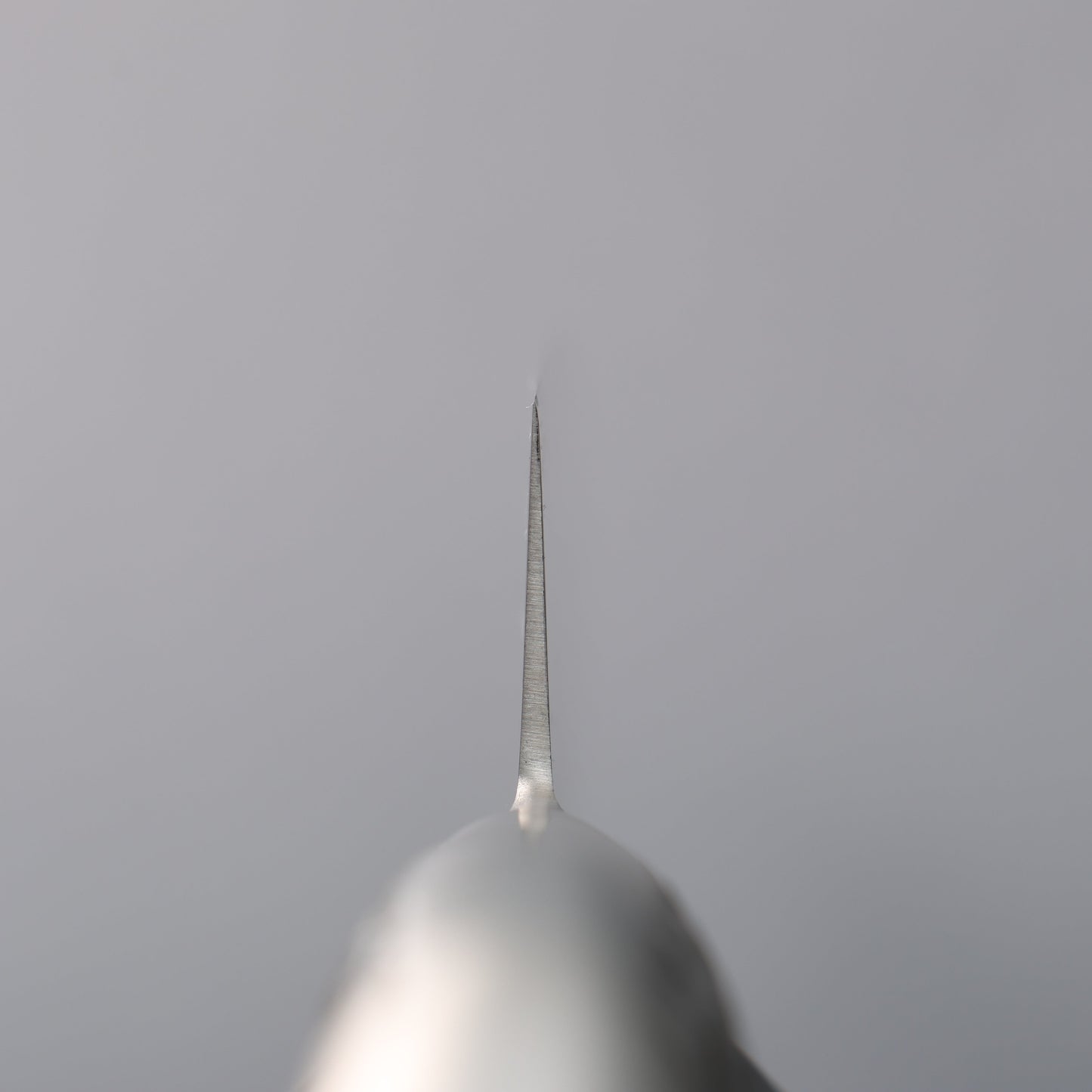 堺 孝行 INOXプロ モリブデン鋼 筋引包丁 270mm - 清助刃物