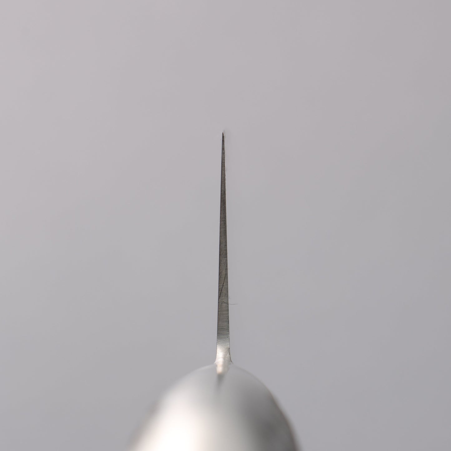 堺 孝行 INOXプロ モリブデン鋼 牛刀包丁 210mm - 清助刃物
