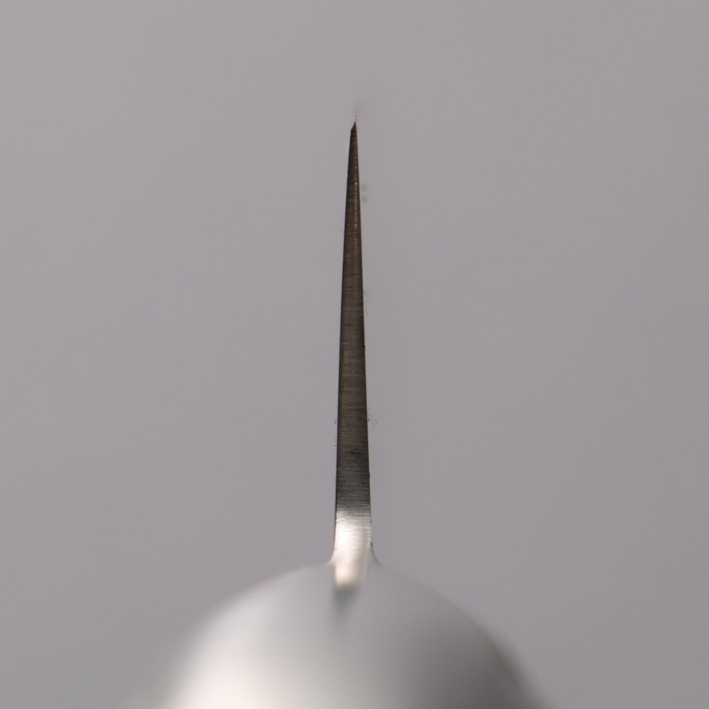 堺 孝行 INOXプロ モリブデン鋼 筋引包丁 240mm - 清助刃物