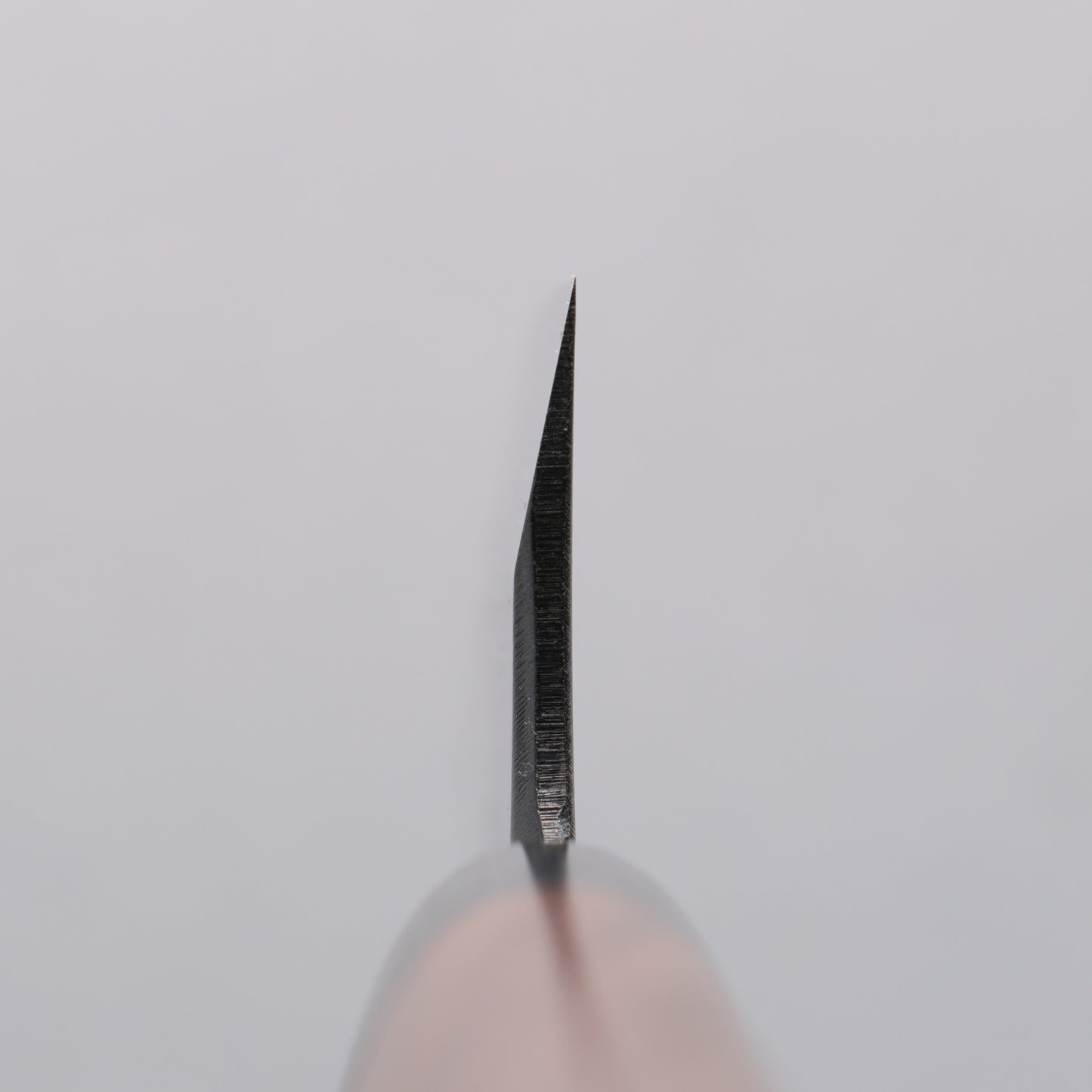 清助 白鋼 霞研 舟行包丁 180mm 紫檀柄 - 清助刃物