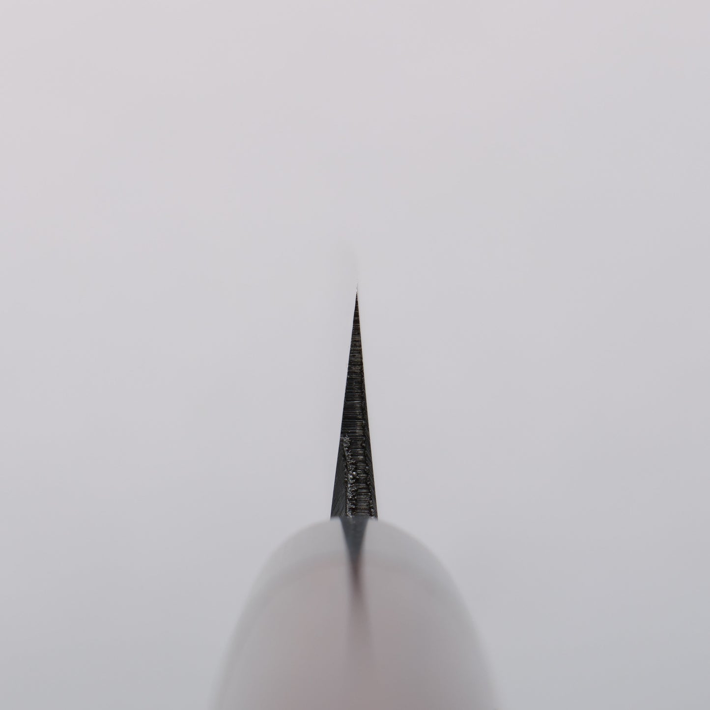 清助 白鋼 霞研 柳刃包丁 240mm 紫檀柄 - 清助刃物