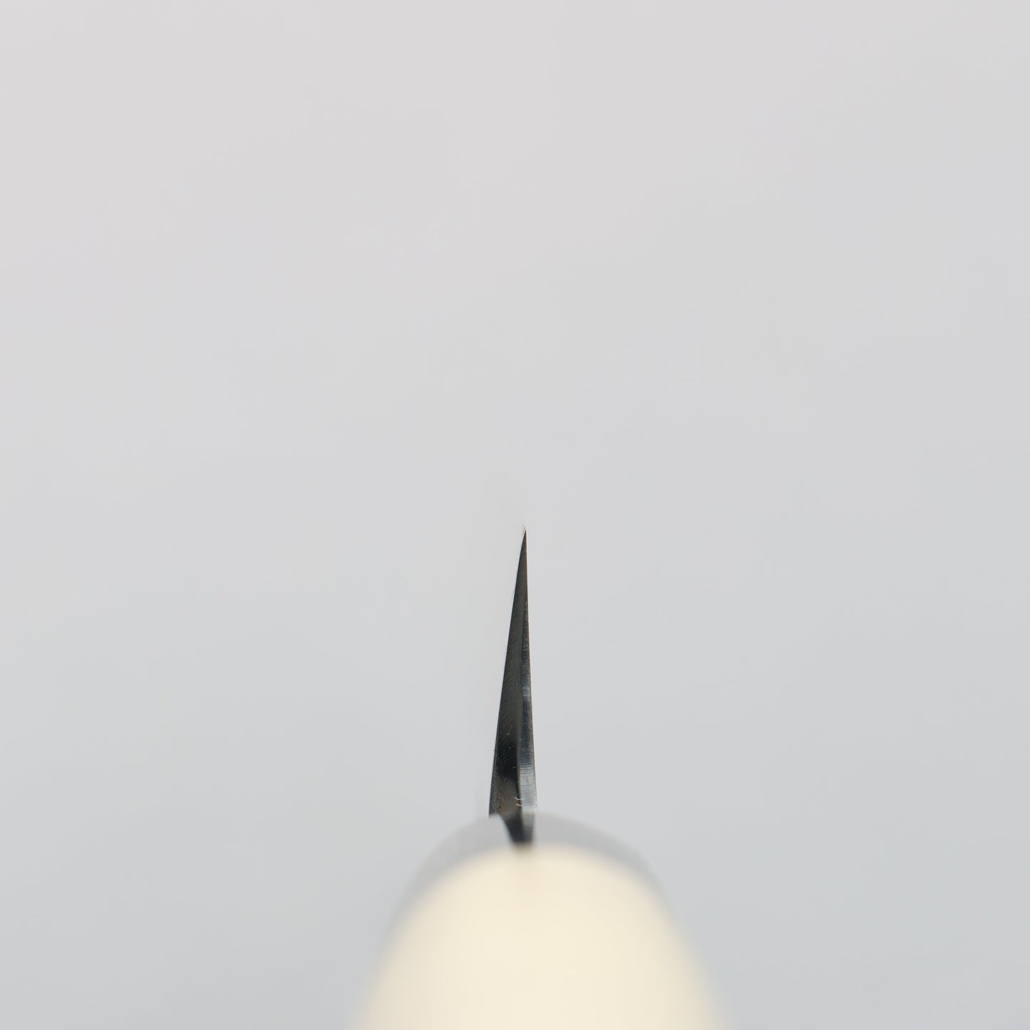 堺 孝行 青ニ鋼 ふぐ引き包丁 270mm 朴柄 - 清助刃物