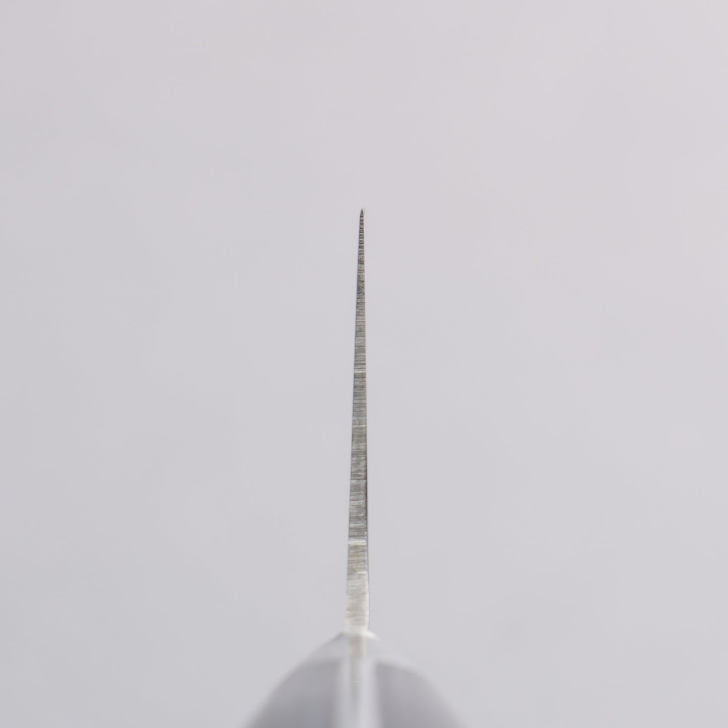 清助 青天 モリブデン鋼(MOL) 切付三徳包丁 195mm 合板 (紺色)柄 - 清助刃物