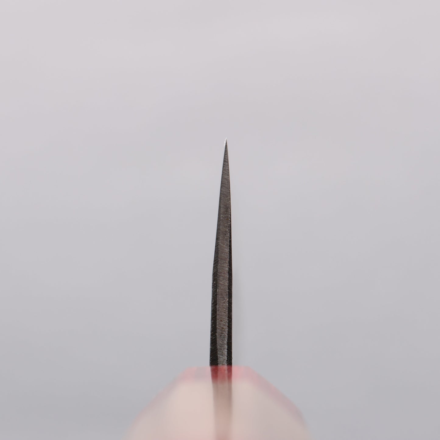 清助 胡桃 青紙 黒打 三徳包丁 165mm ウォルナット (両側赤口輪)柄 - 清助刃物