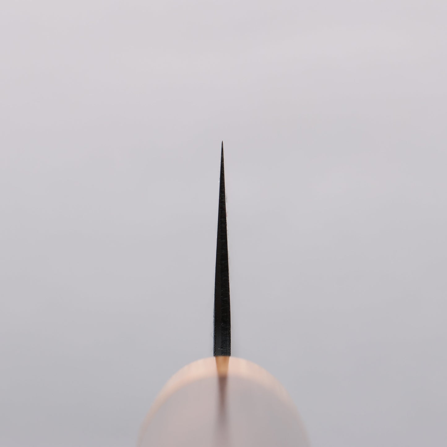 清助 青スーパー鋼 黒梨地 文化包丁 170mm 紫檀 (口輪:白合板)柄 - 清助刃物