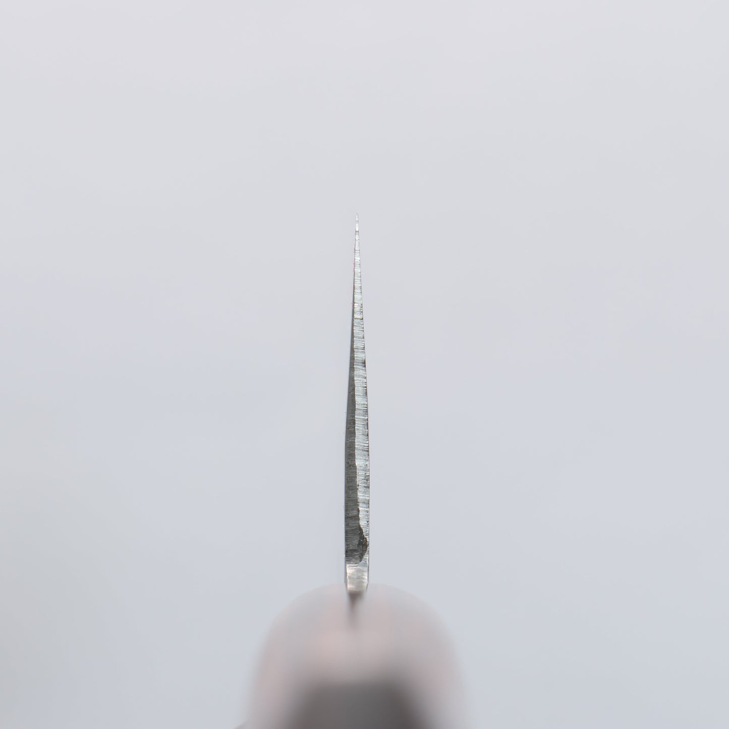 清助 V金1号 鎚目 牛刀包丁 180mm マホガニー柄 - 清助刃物