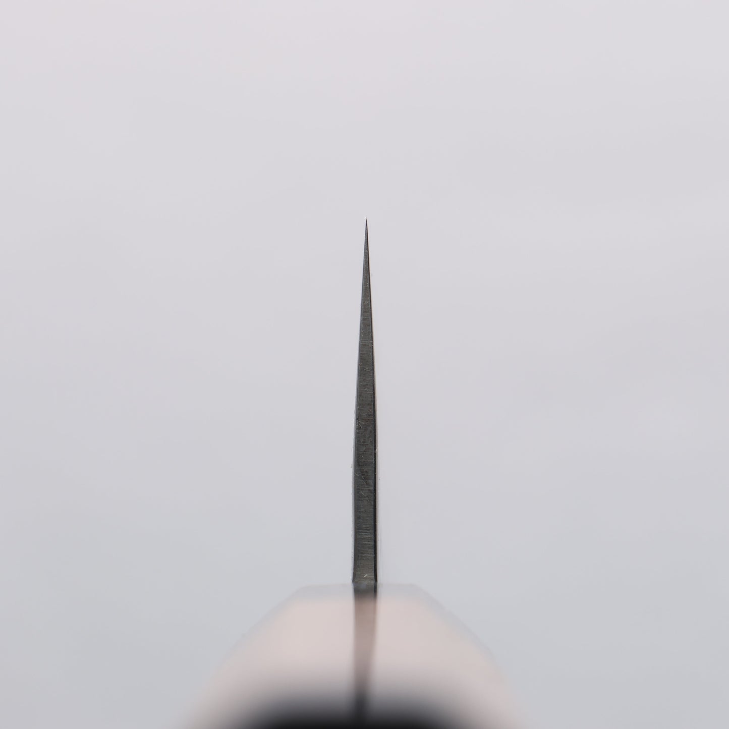 清助 銀三鋼 鎚目 三徳包丁 180mm ウォルナット (両側黒口輪)柄 - 清助刃物