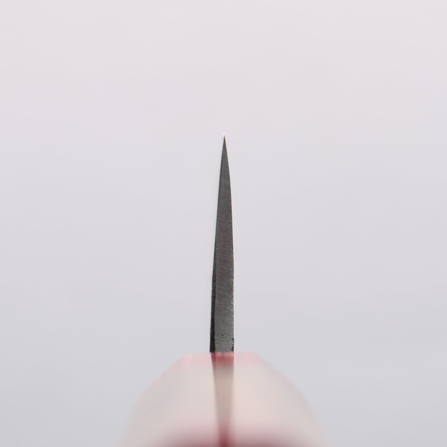 清助 胡桃 青紙 黒打 文化包丁 180mm ウォルナット (両側赤口輪)柄 - 清助刃物