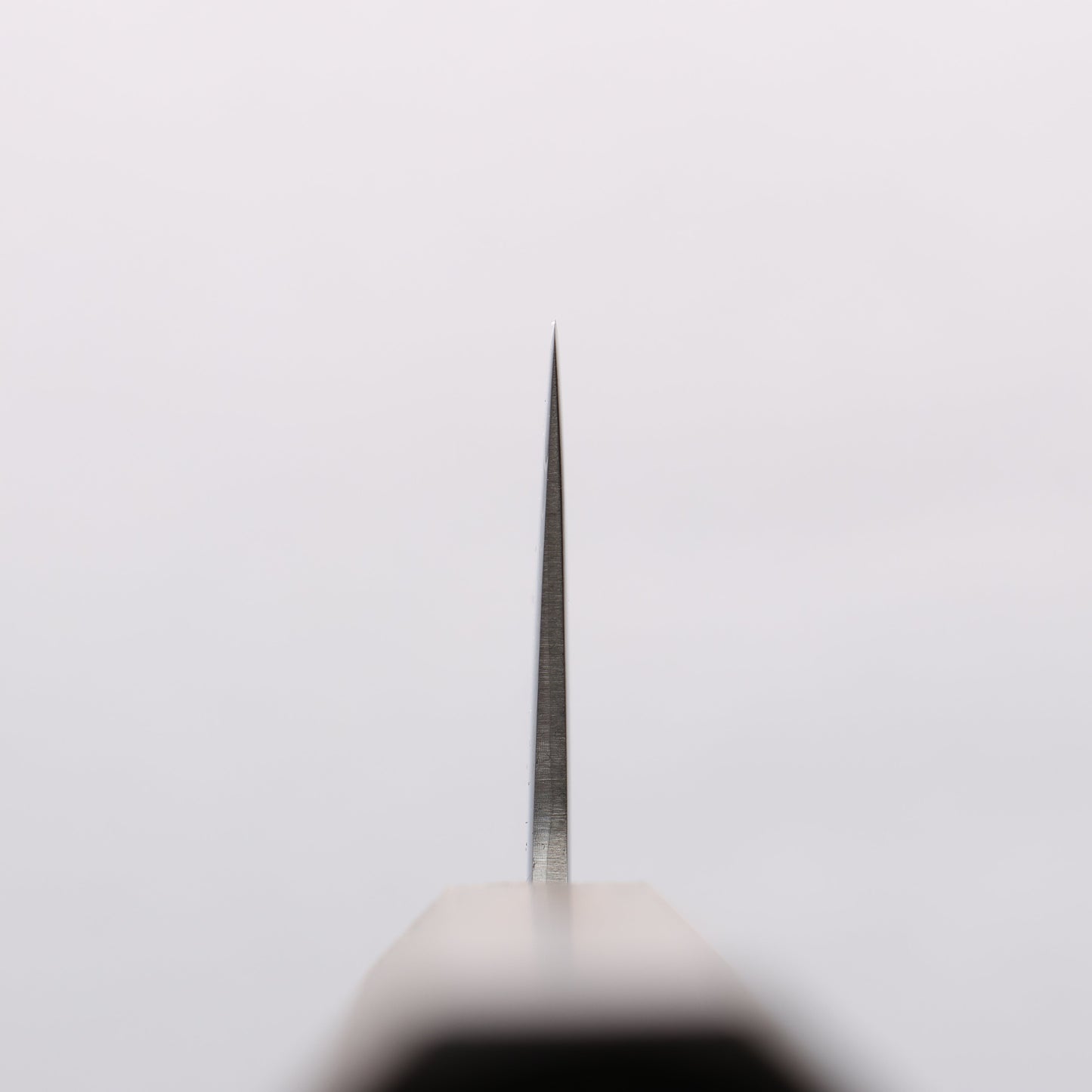 清助 V金10号 鏡面仕上げ ダマスカス 切付包丁 210mm 樫柄 - 清助刃物