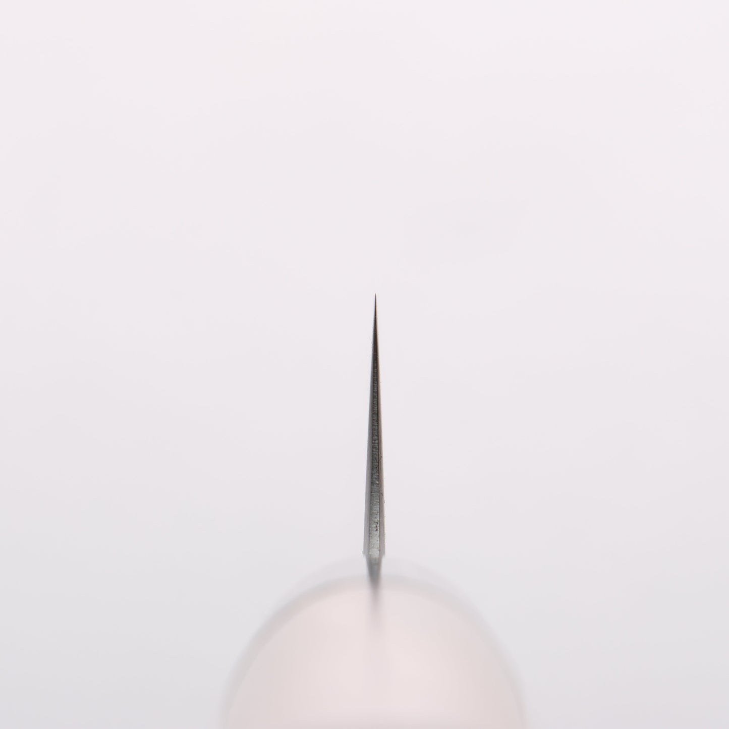 清助 SRS13 磨き仕上げ 筋引包丁 270mm 紫檀 (口輪:黒合板)柄 - 清助刃物