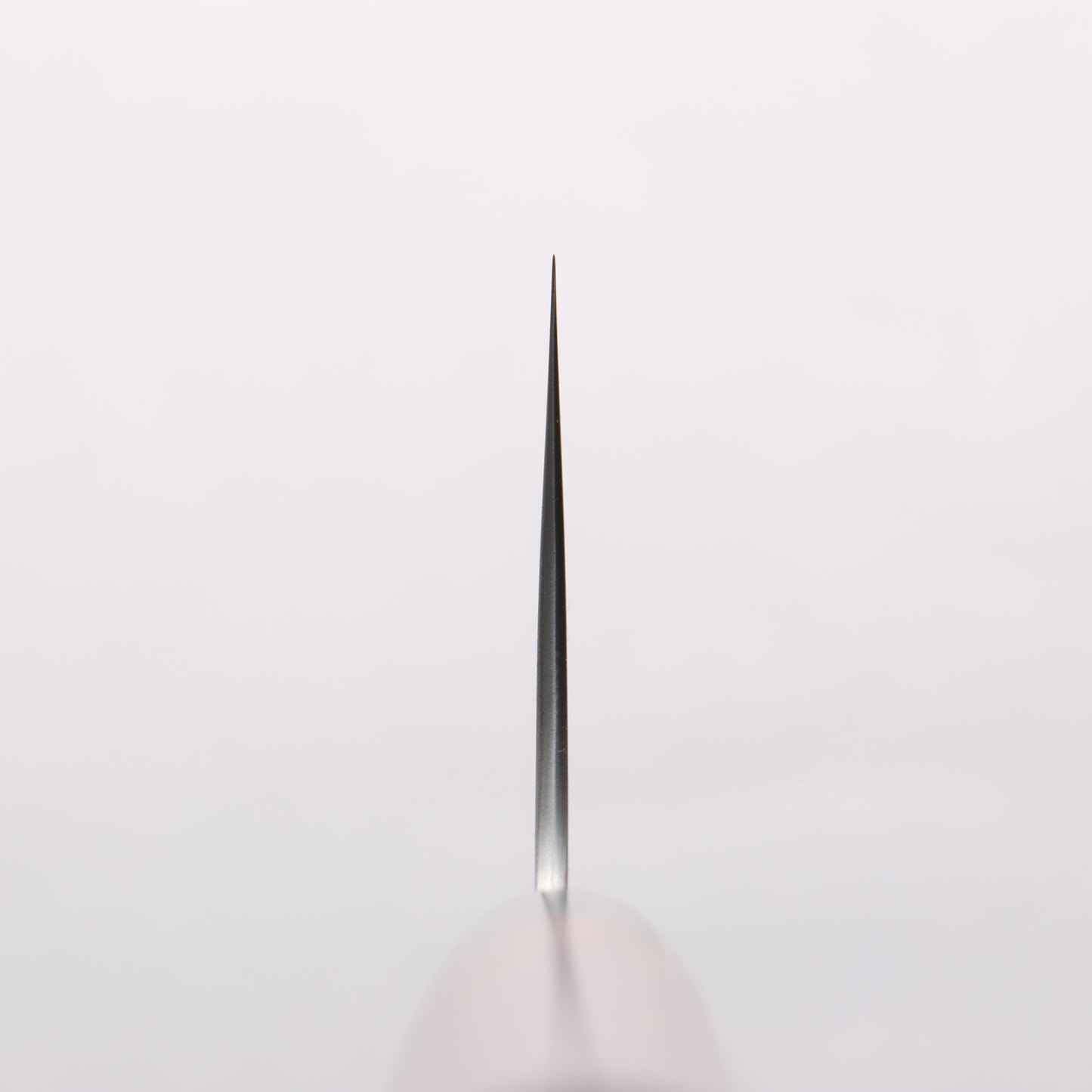 尾形 峻吾 SG2 磨き仕上げ 牛刀包丁 240mm 紫檀柄 - 清助刃物