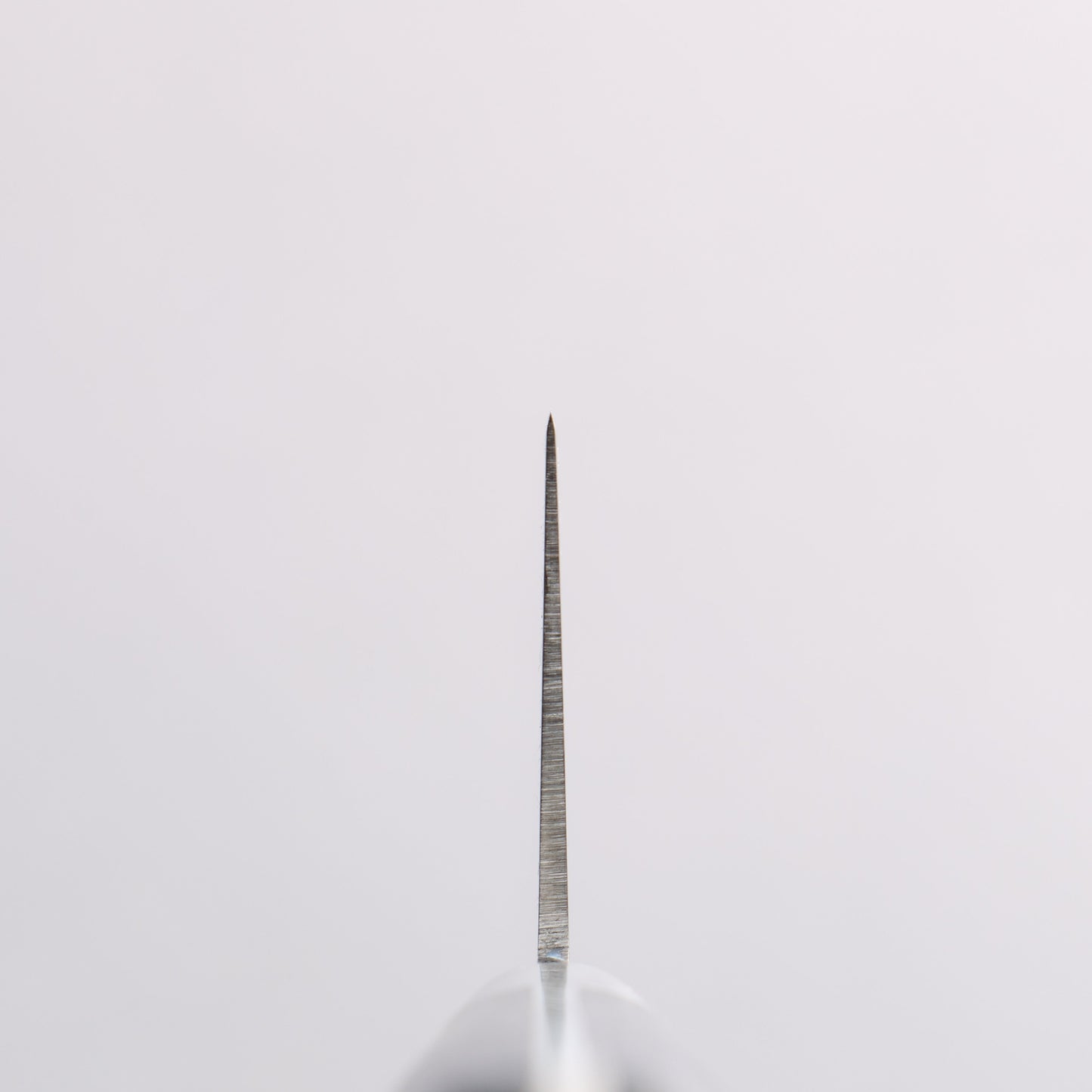 清助 青天 モリブデン鋼(MOL) 牛刀包丁 210mm 合板 (紺色)柄 - 清助刃物