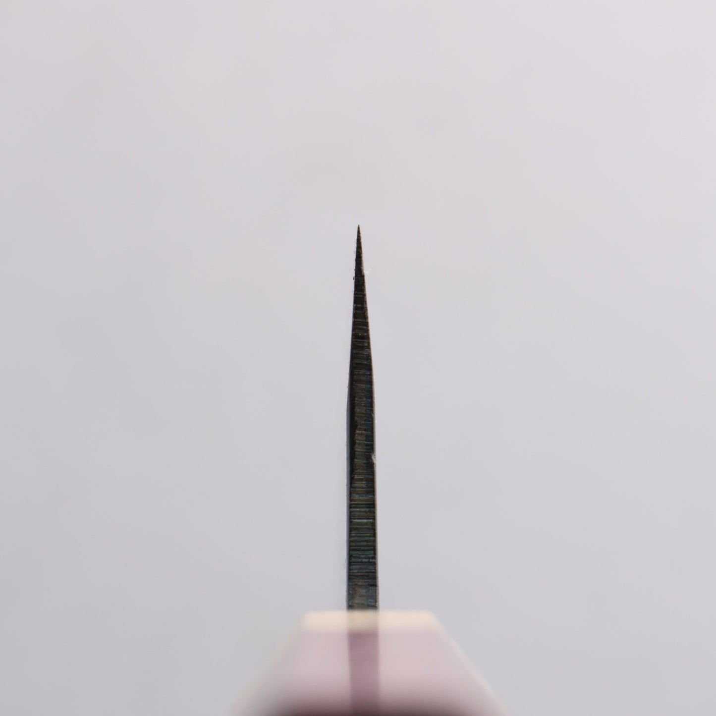 清助 青スーパー鋼 黒仕上げ 文化包丁 180mm パープルハート (口輪:樫)柄 - 清助刃物