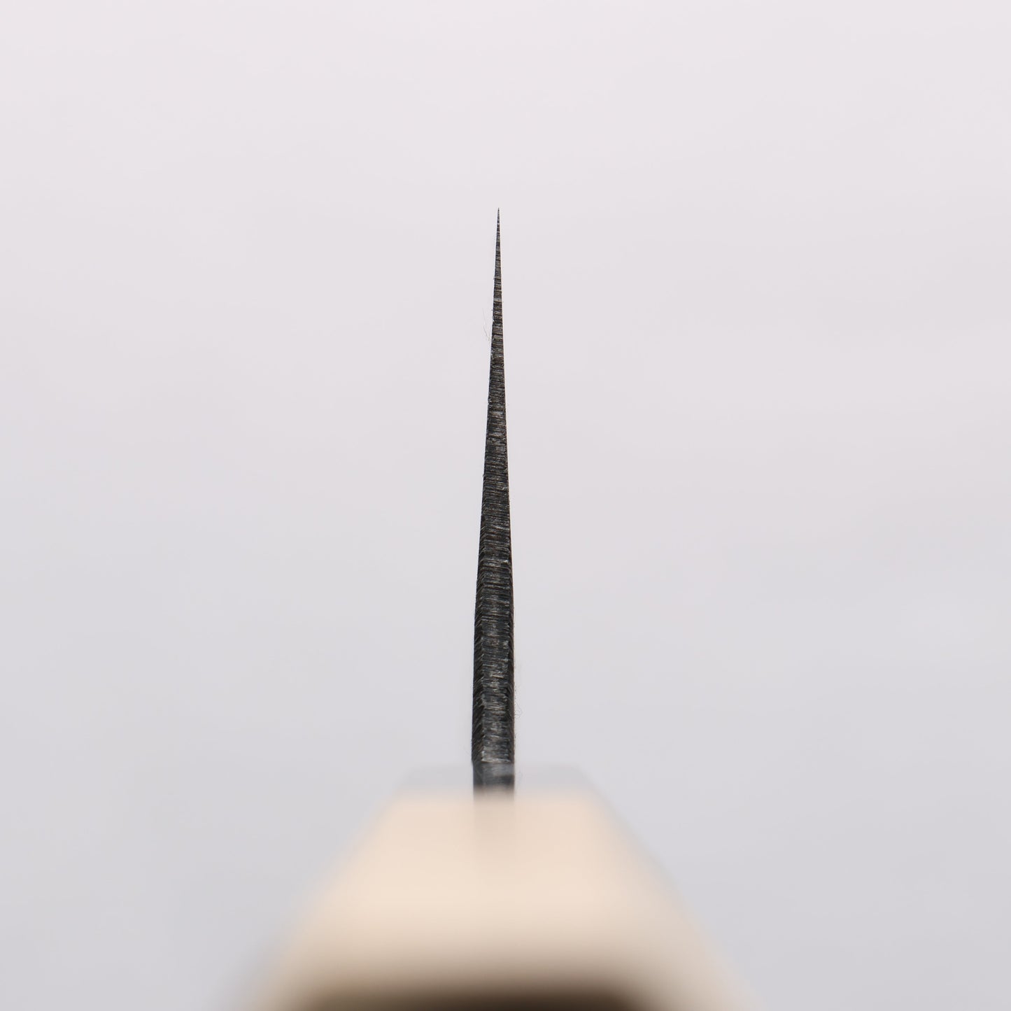 菊月 白ニ鋼 黒仕上げ 牛刀包丁 240mm 朴柄 - 清助刃物