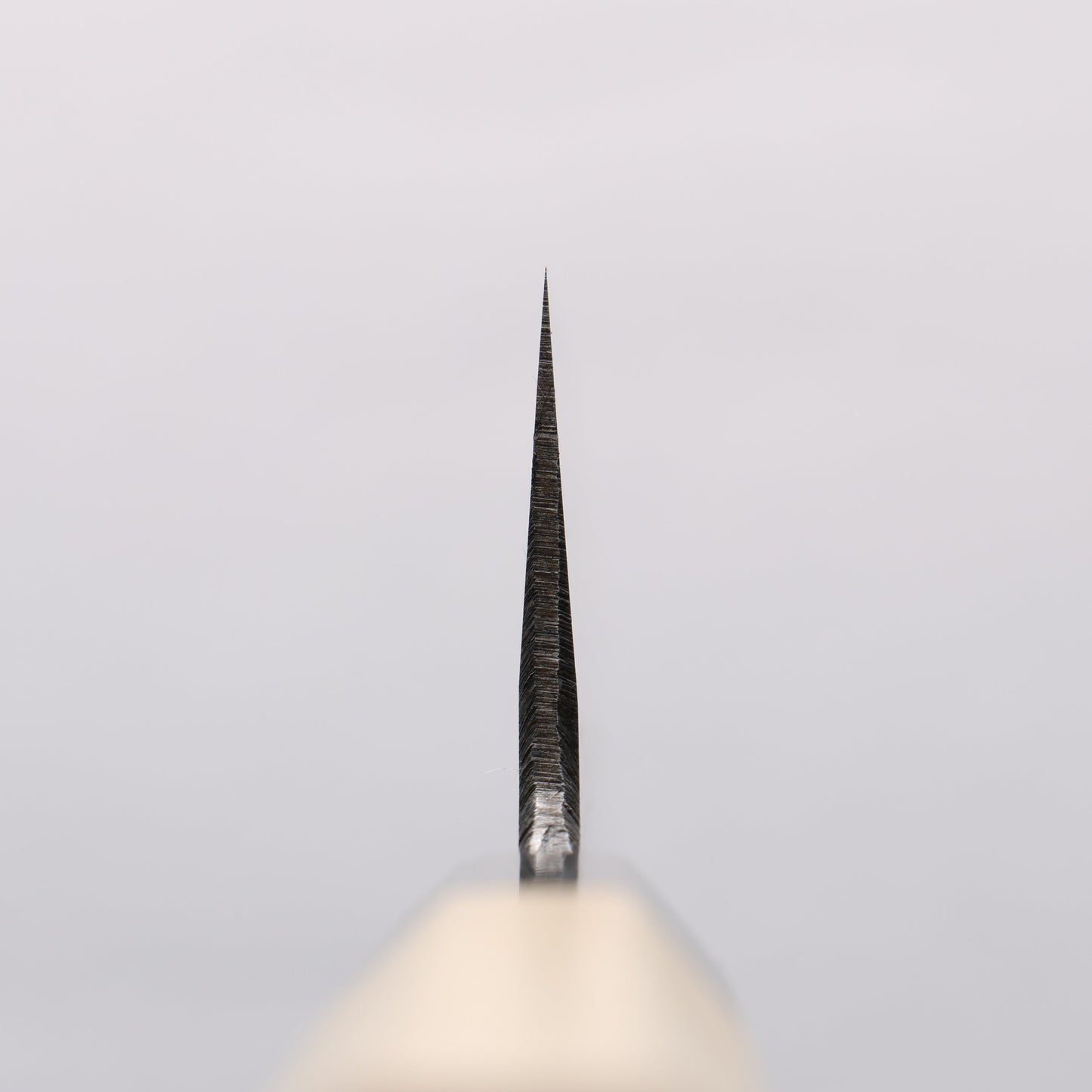 菊月 白ニ鋼 黒仕上げ 牛刀包丁 210mm 朴柄 - 清助刃物