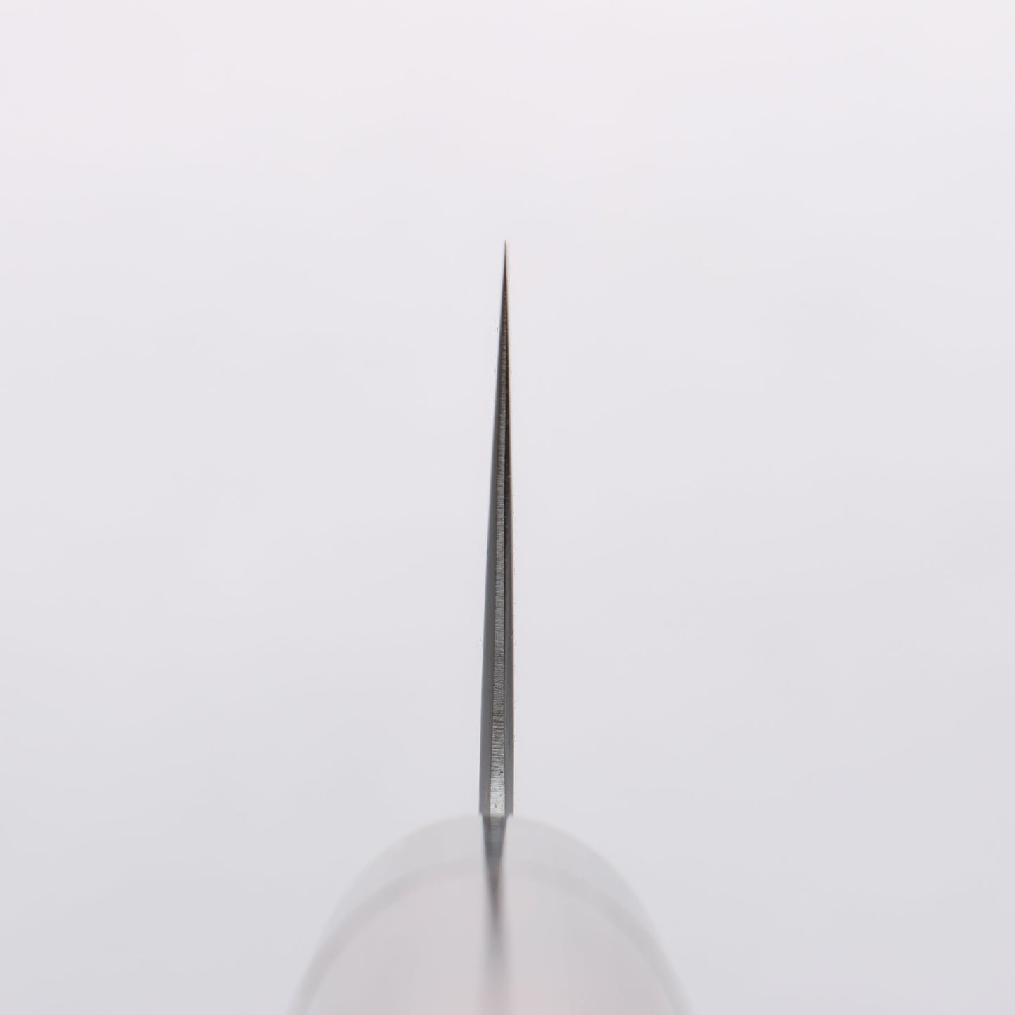 清助 青スーパー鋼 牛刀包丁 240mm 紫檀 (口輪:黒合板)柄 - 清助刃物