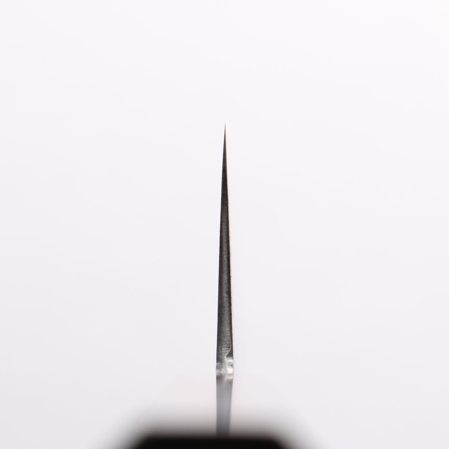 田中 誠貴 春風 SG2 ダマスカス 牛刀包丁 210mm ウォルナット柄 - 清助刃物