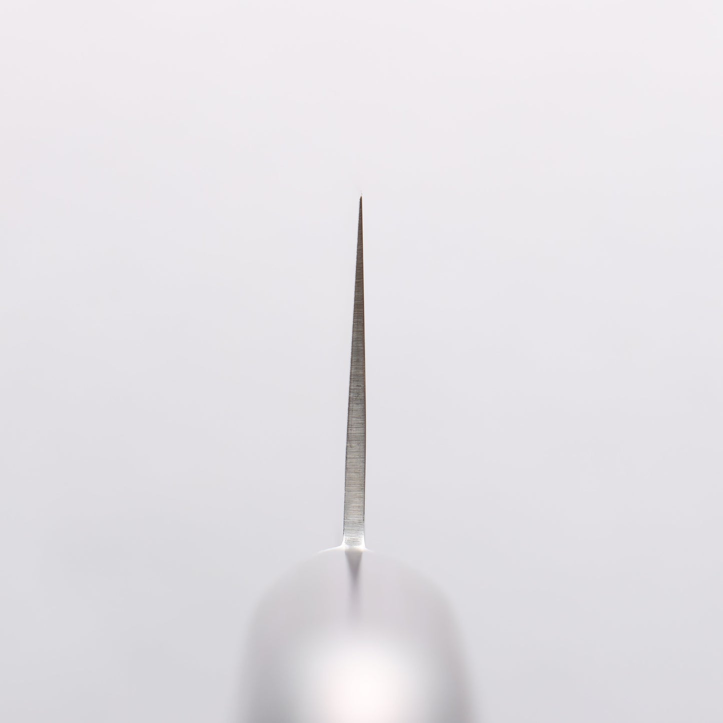 樋口 SG2 三徳包丁 180mm 合板 (紺色)柄 - 清助刃物