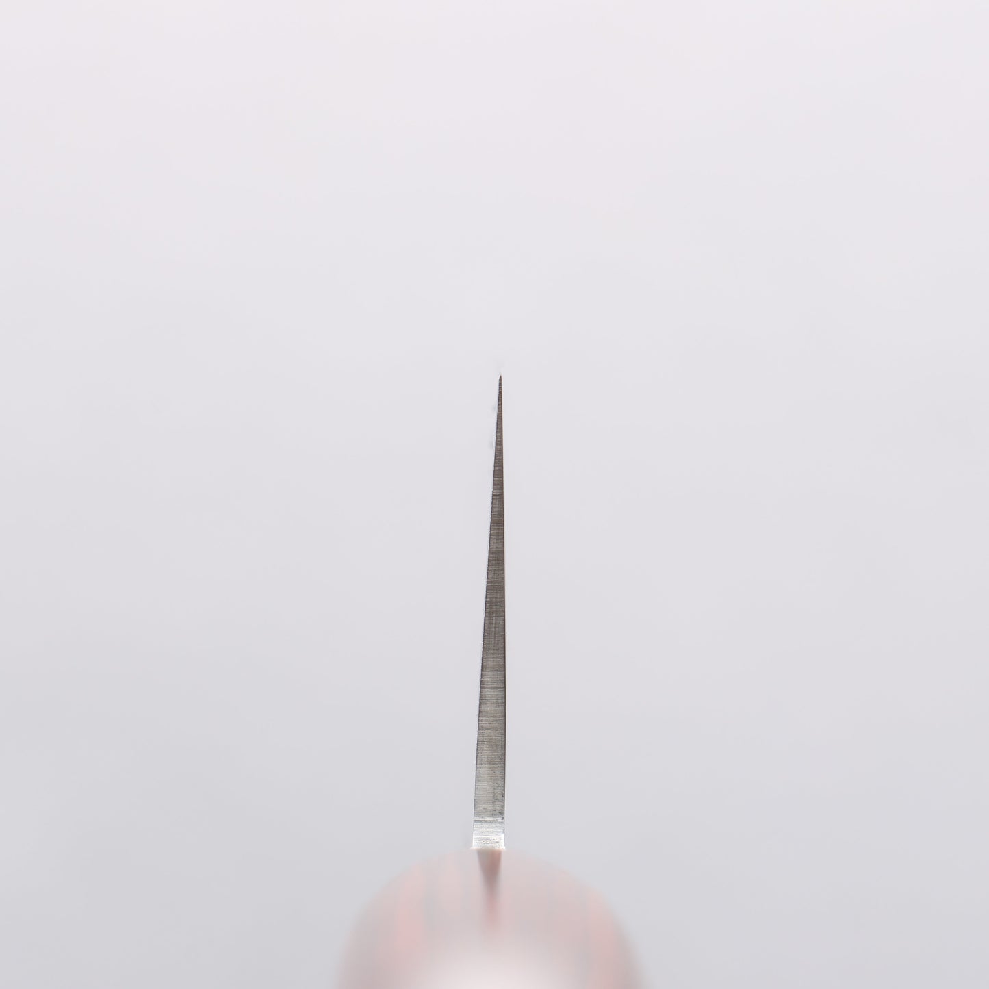 樋口 SG2 三徳包丁 180mm 合板 (スコッチ色)柄 - 清助刃物