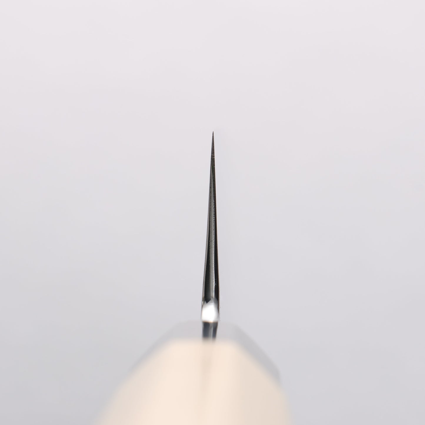 重陽 銀三鋼 鏡面仕上げ 切付牛刀包丁 210mm 朴柄 - 清助刃物