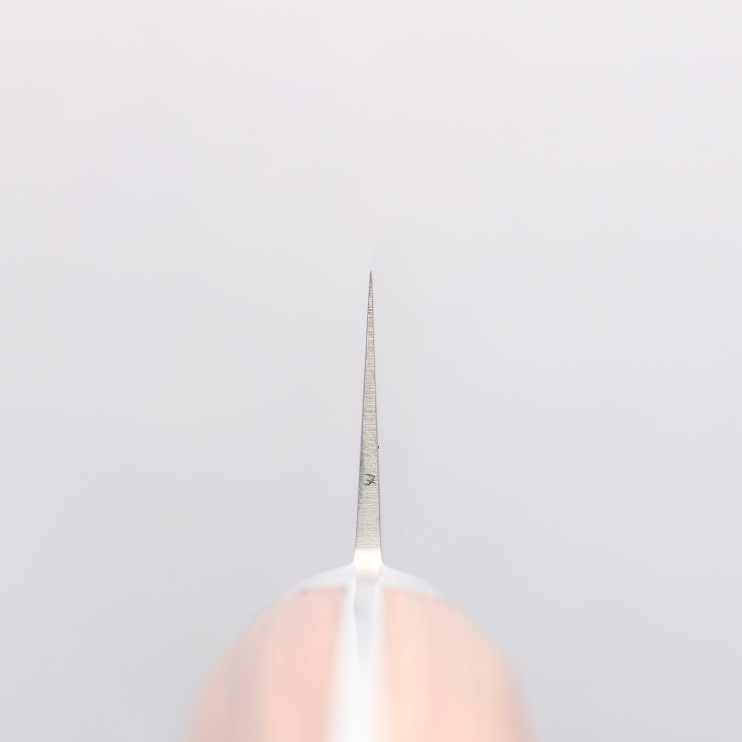 堺 孝行 V金5号 鎚目 筋引包丁 240mm 茶合板柄 - 清助刃物