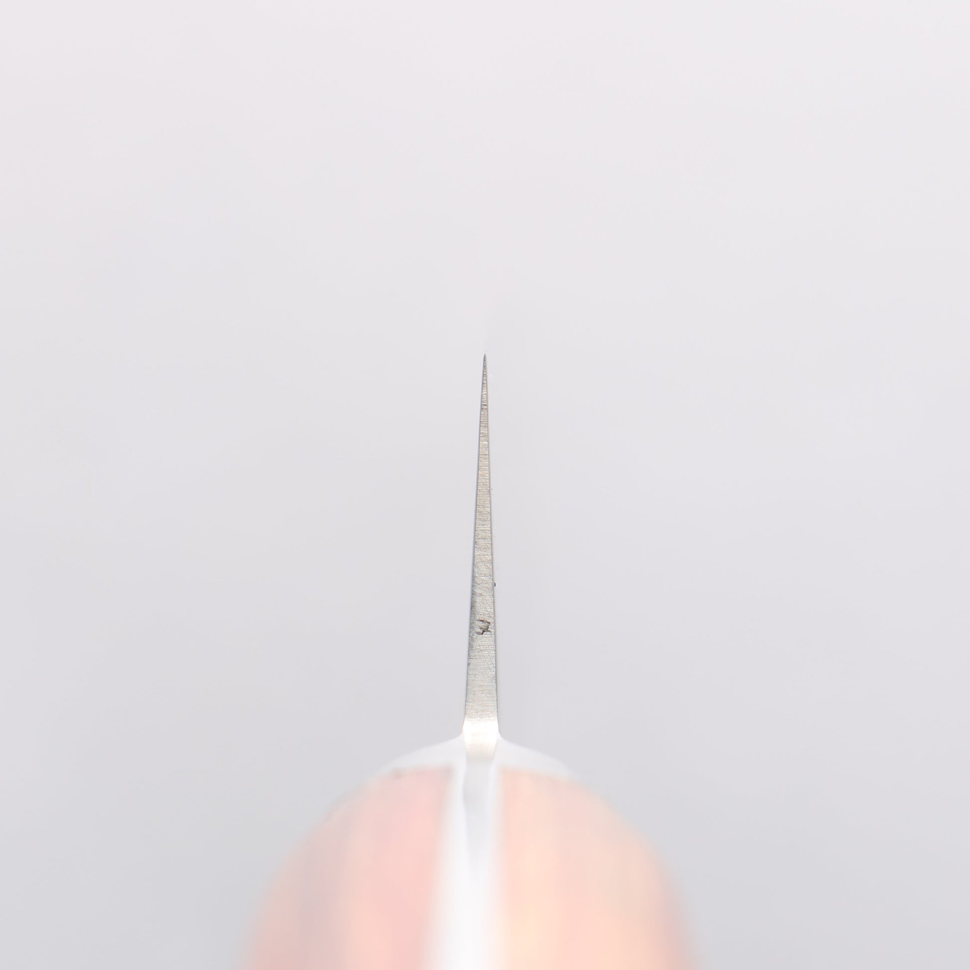 堺 孝行 V金5号 鎚目 筋引包丁 240mm 茶合板柄 - 清助刃物