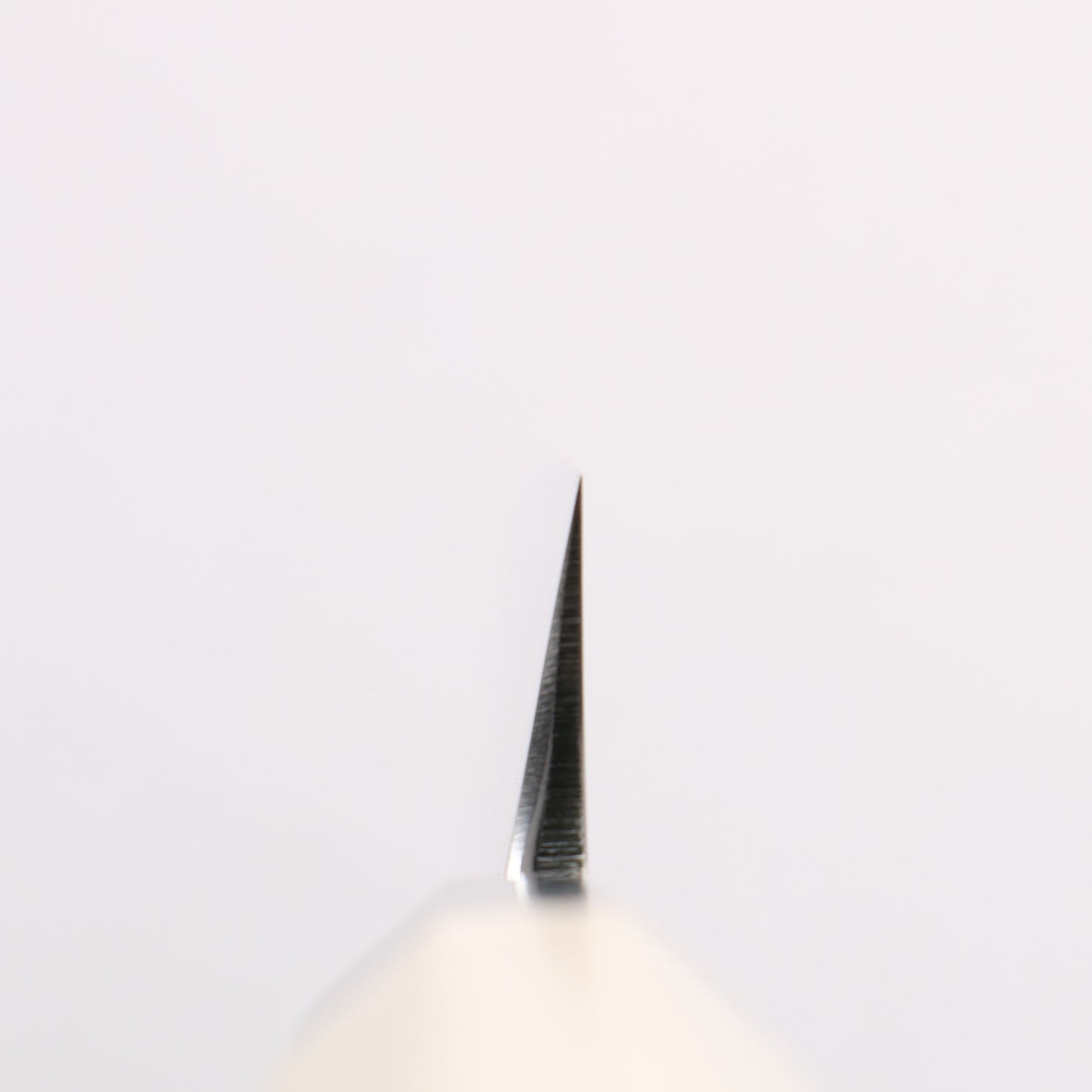 源 昭忠 白ニ鋼 柳刃包丁 270mm 朴 (口輪:水牛)柄 - 清助刃物