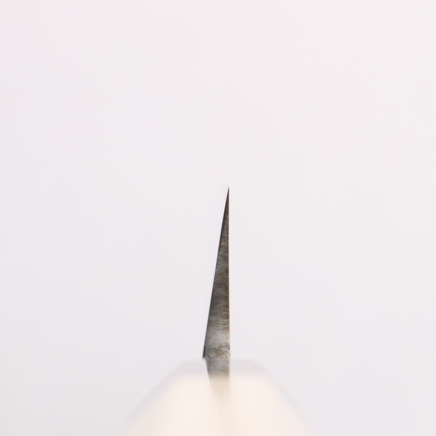 源 昭忠 青一鋼 柳刃包丁 300mm 朴 (口輪:水牛)柄 - 清助刃物