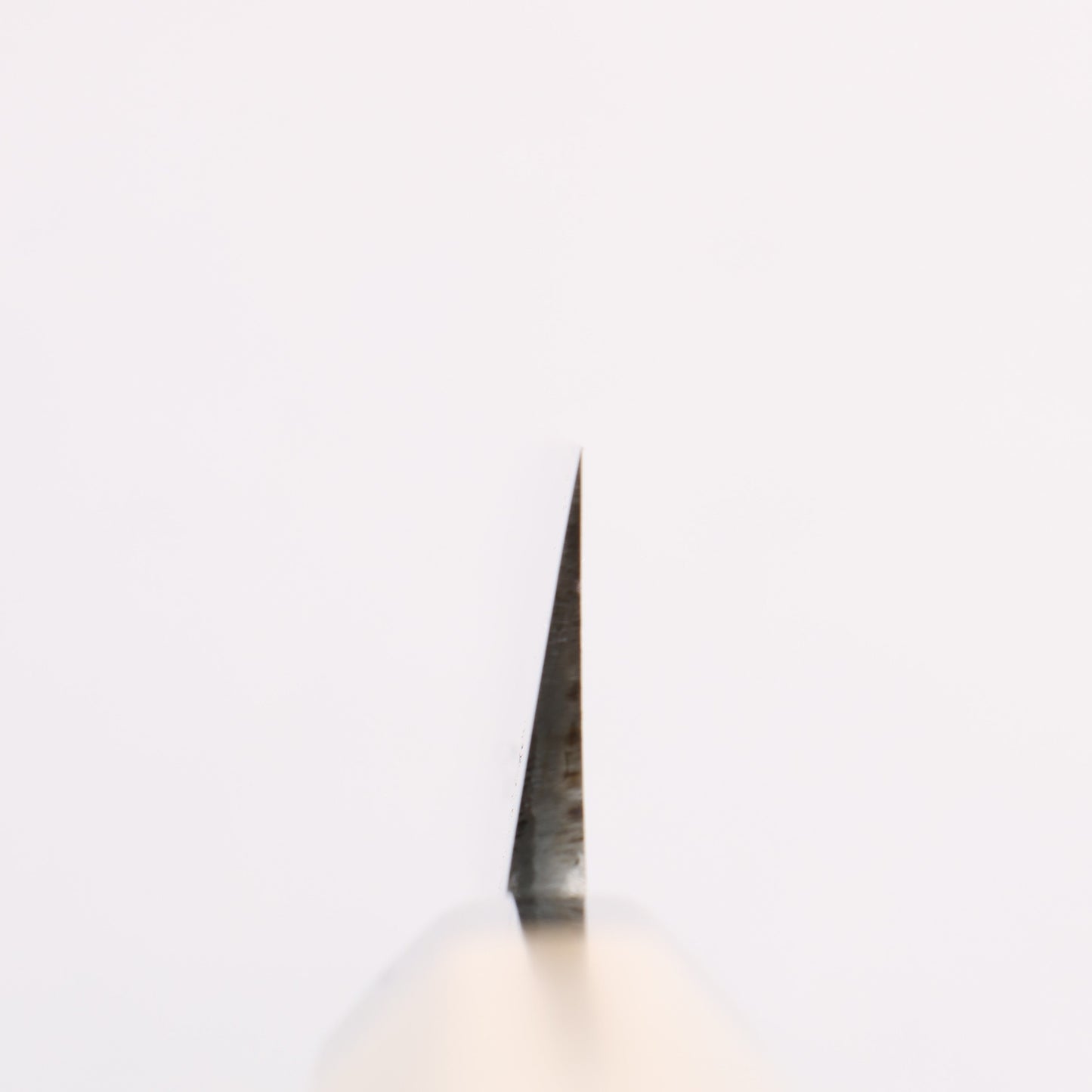 源 昭忠 青ニ鋼 柳刃包丁 300mm 朴 (口輪:水牛)柄 - 清助刃物