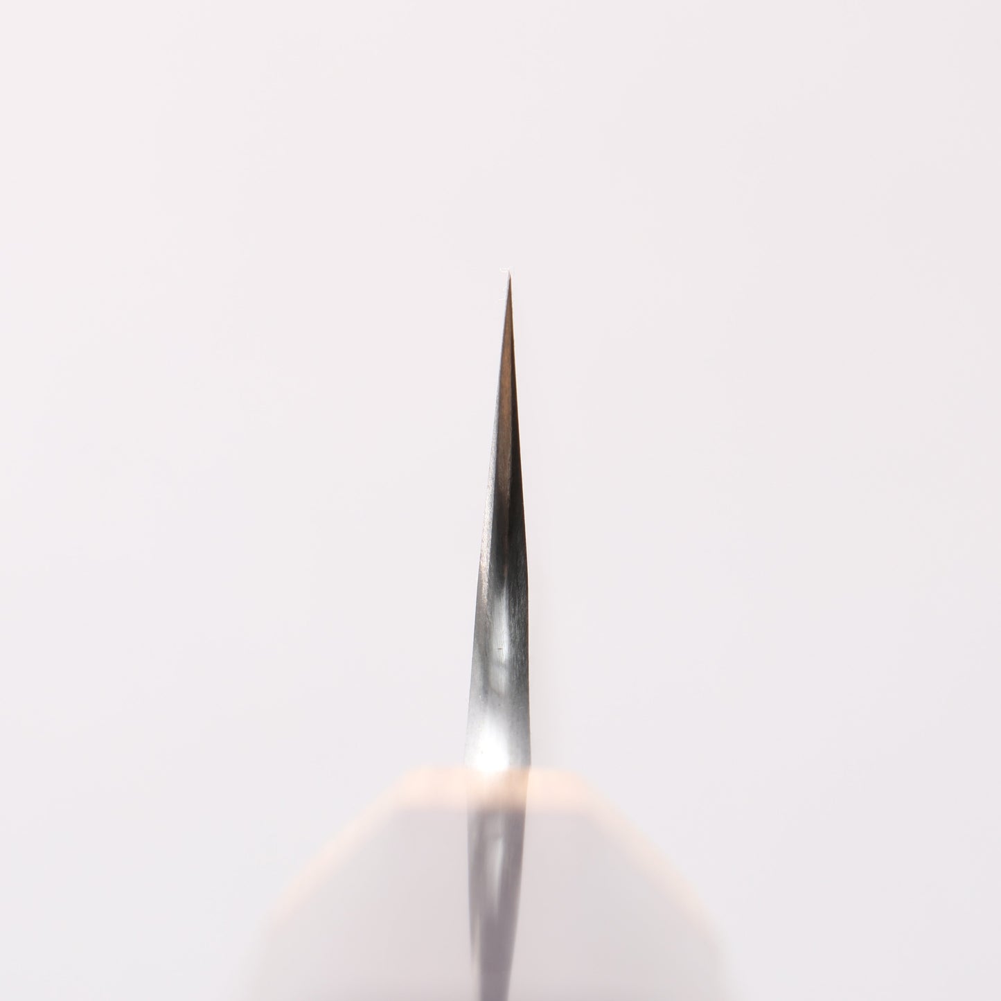 ティンカー 青スーパー鋼 黒仕上げ 270mm 紫檀柄 Sabre - 清助刃物