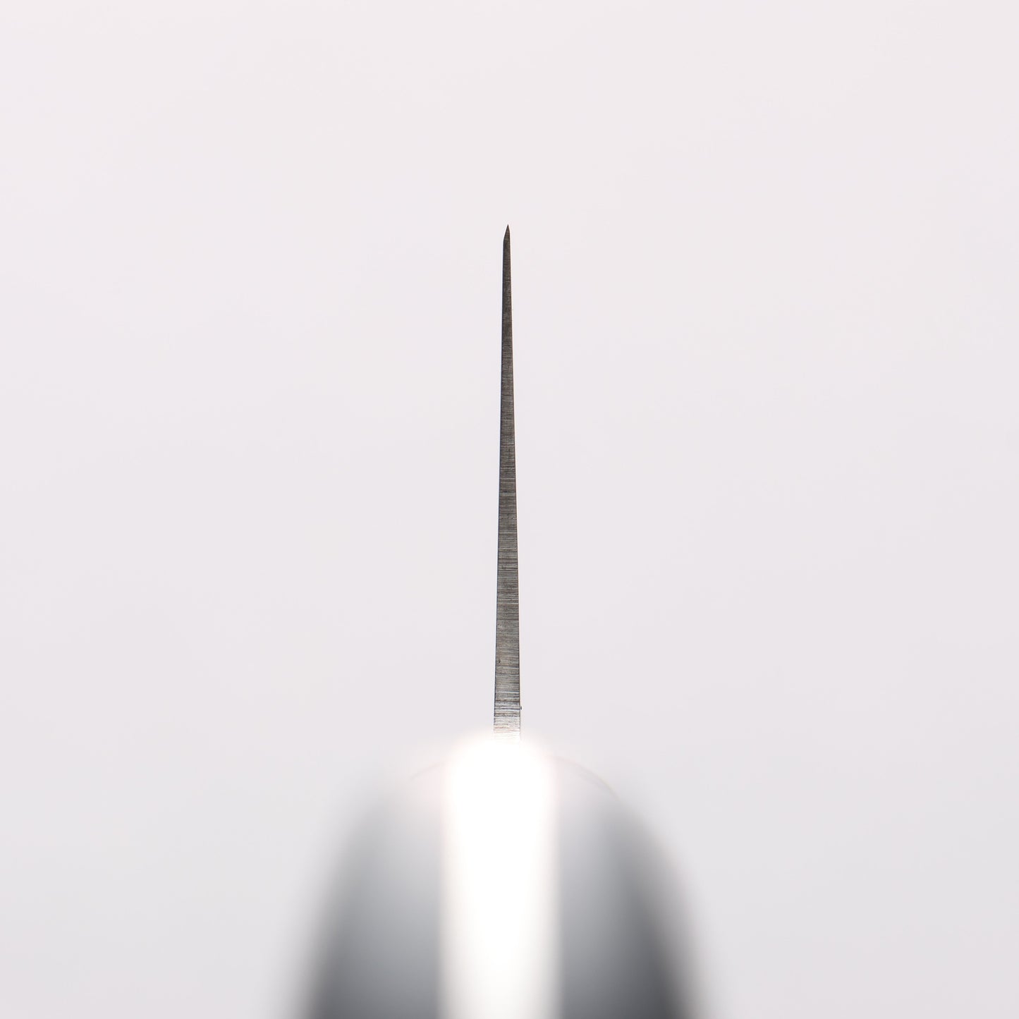 清助 青天 モリブデン鋼(MOL) 牛刀包丁 210mm 合板 (紺色)柄 鞘付き - 清助刃物