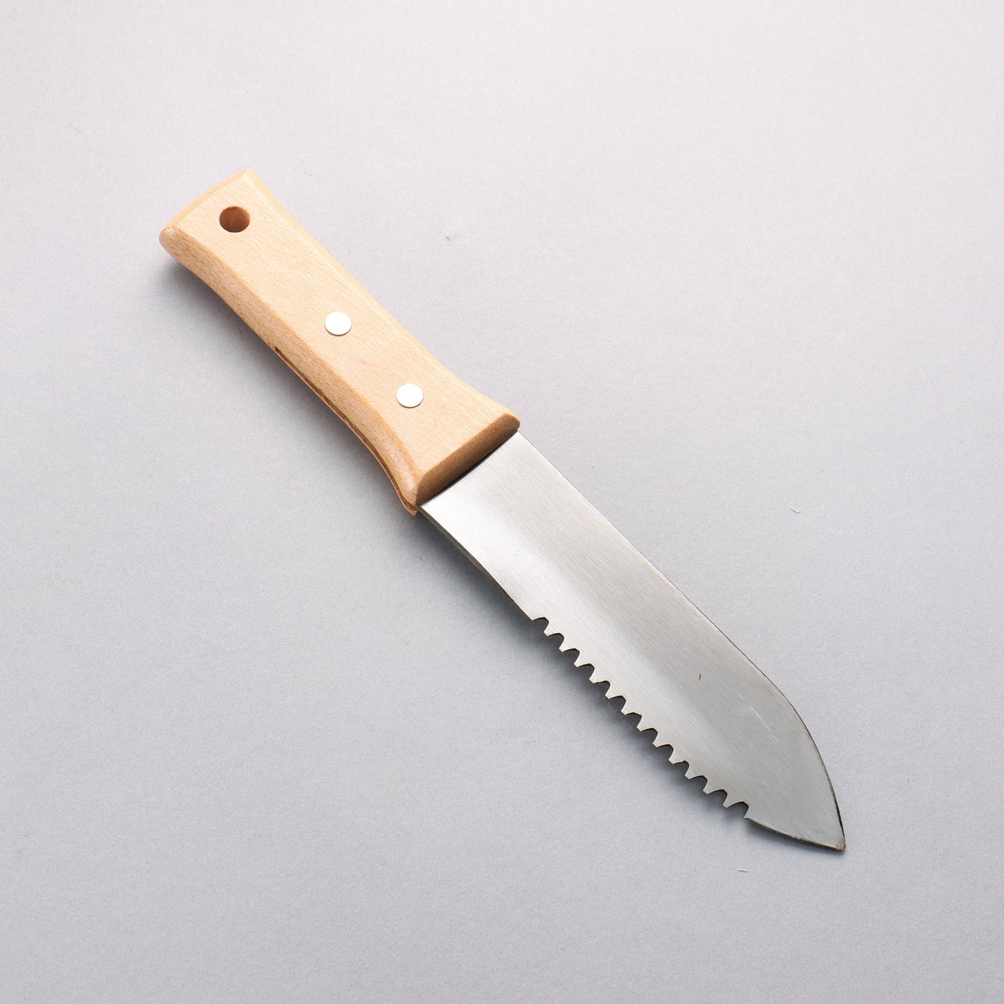 Bonsai ステンレス鋼 山菜堀り鋸刃 鞘付き 170mm - 清助刃物