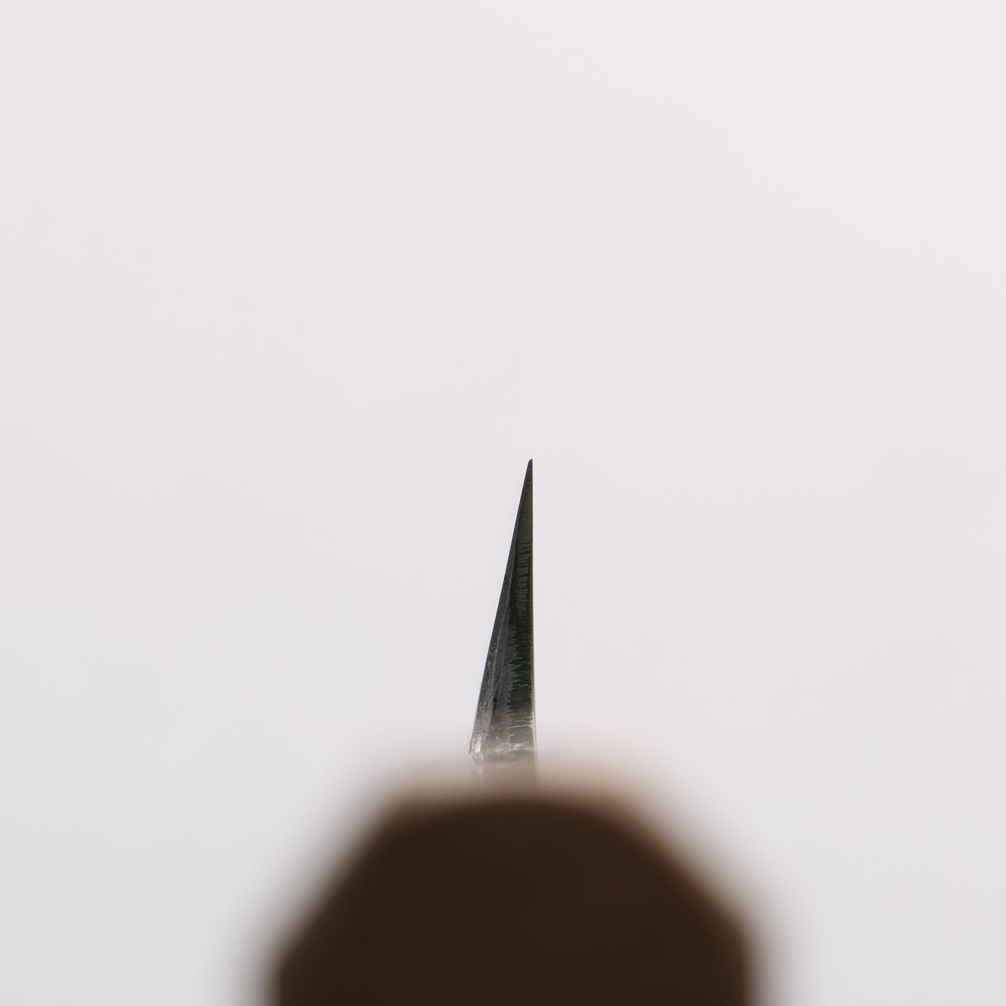 源 昭忠 青ニ鋼 柳刃包丁 240mm 朴 (口輪:水牛)柄 - 清助刃物