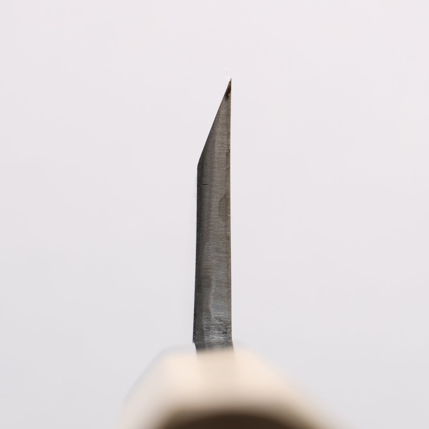 源 昭忠 青ニ鋼 相出刃 180mm 朴 (口輪:水牛)柄 - 清助刃物