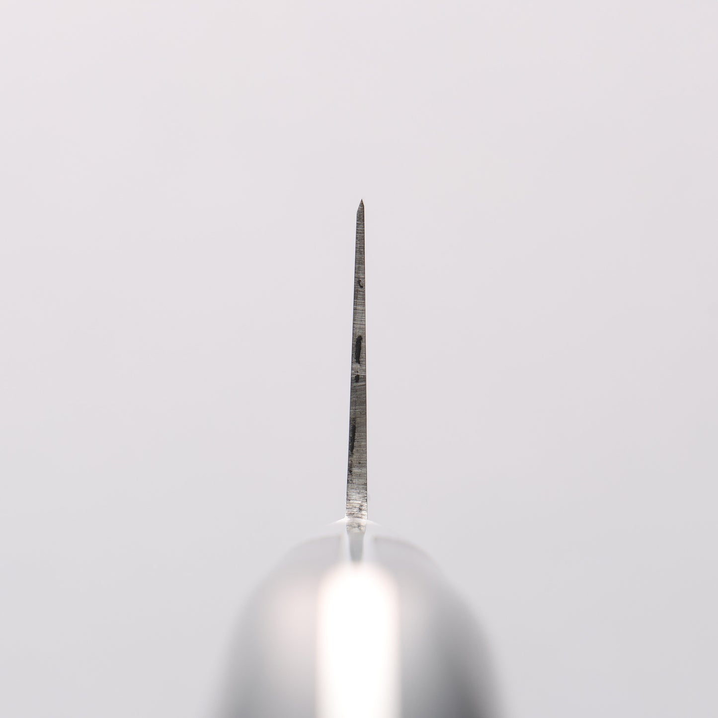 清助 青天 モリブデン鋼(MOL) 牛刀包丁 180mm 合板 (紺色)柄 - 清助刃物