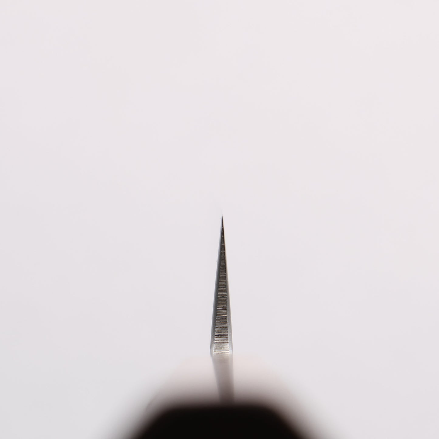黒鳥 銀三鋼 磨き仕上げ 鰹包丁 210mm ウォルナット柄 - 清助刃物