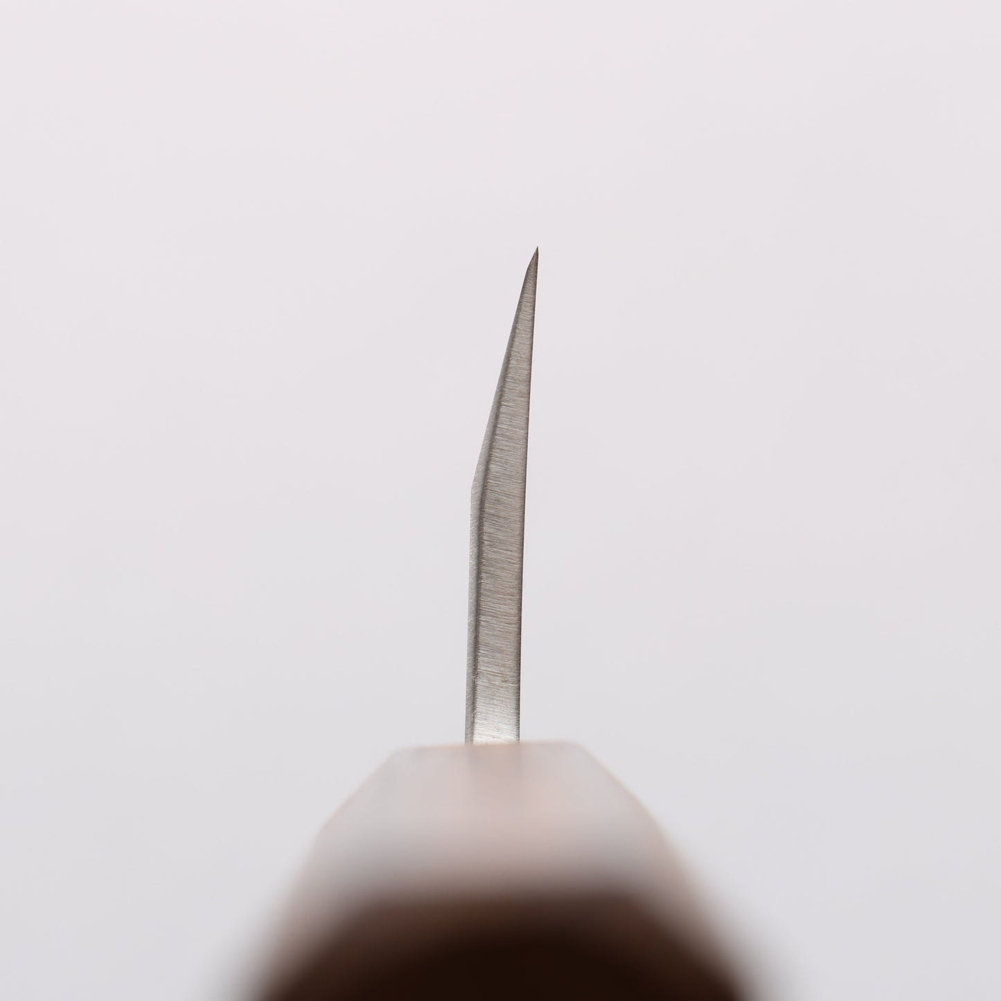 清助 AUS8 出刃包丁 120mm 樫柄 - 清助刃物