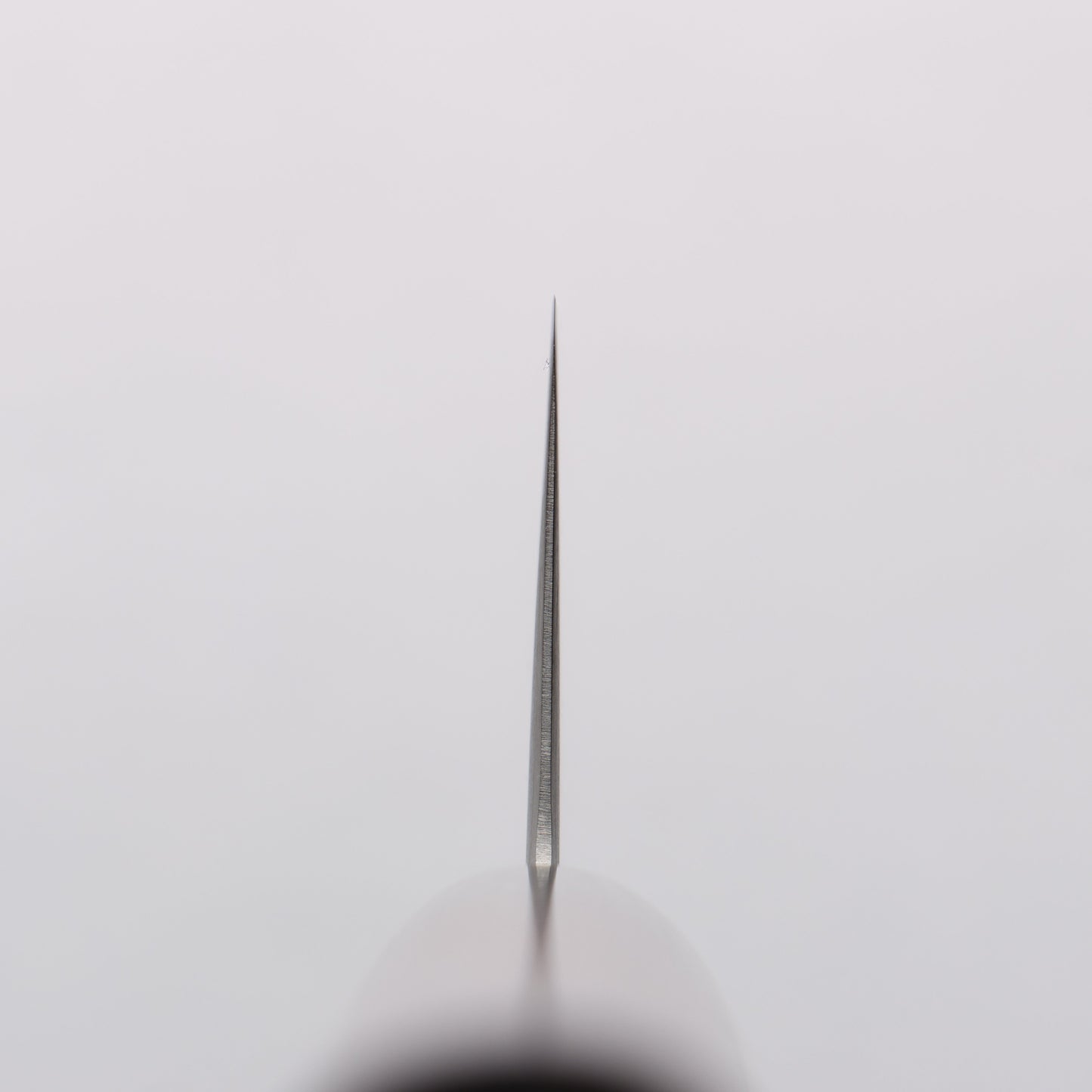 清助 青スーパー鋼 切付牛刀包丁 210mm 紫檀 (口輪:黒合板)柄 - 清助刃物