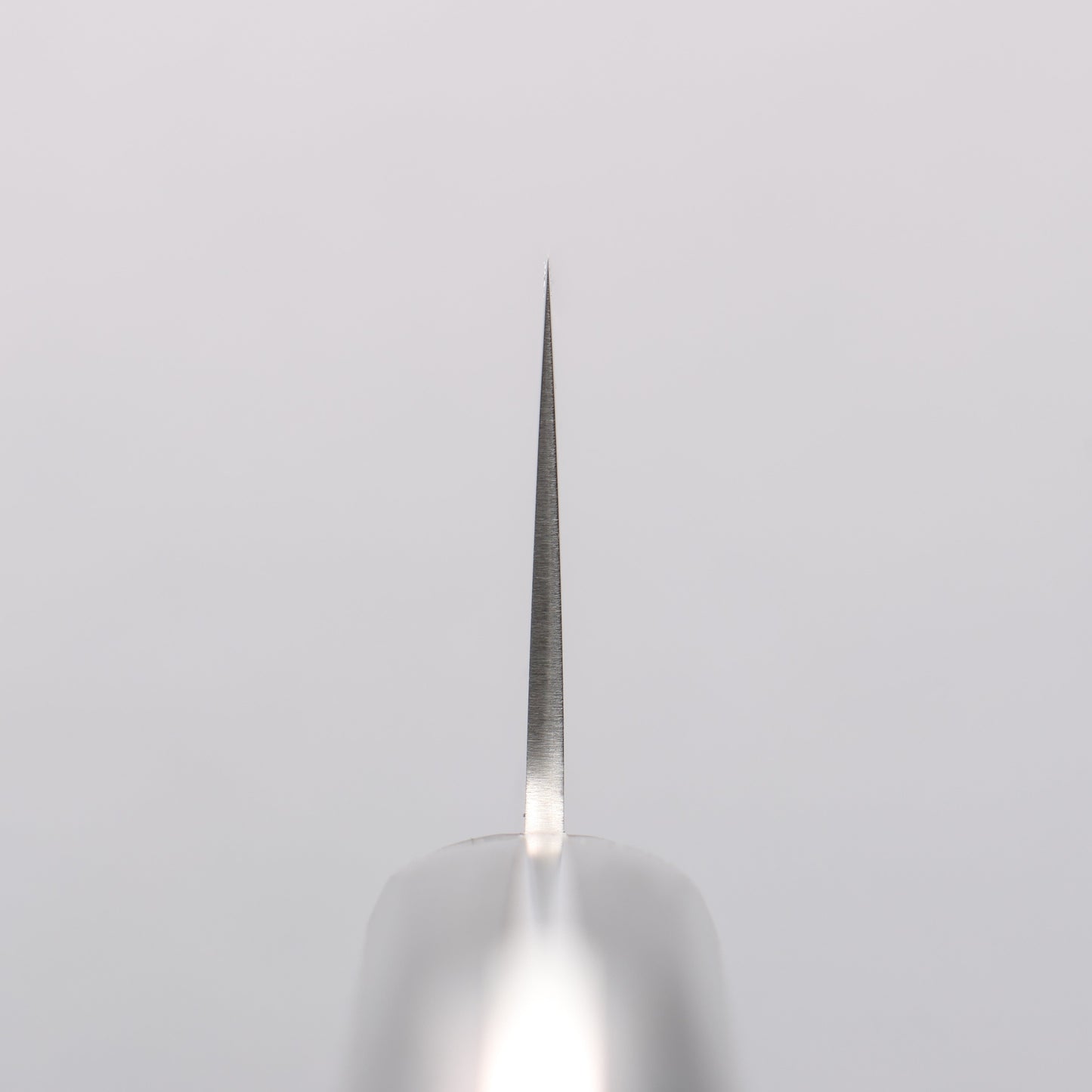 清助 SLD鋼 磨き仕上げ 牛刀包丁 210mm 黒合板柄 - 清助刃物