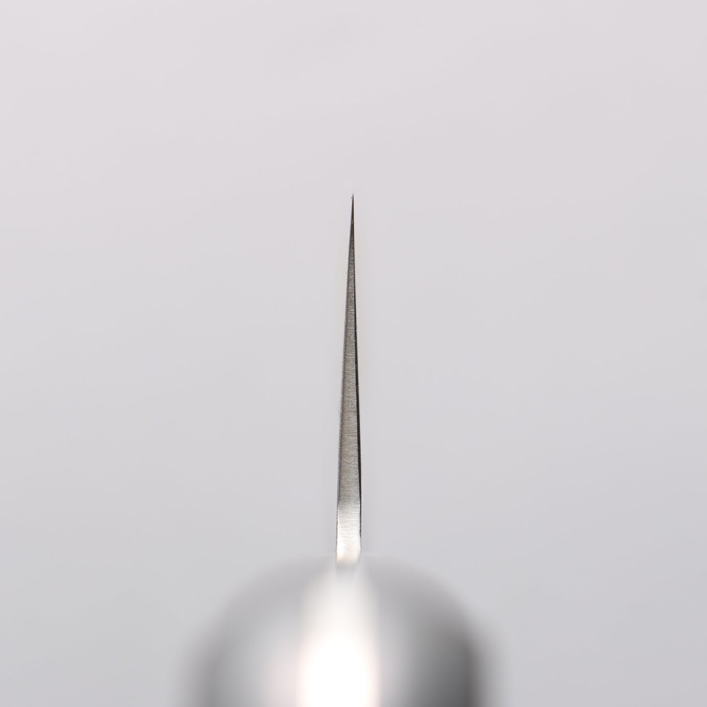 清助 AUS8 鎚目 切付牛刀包丁 210mm 黒合板柄 - 清助刃物