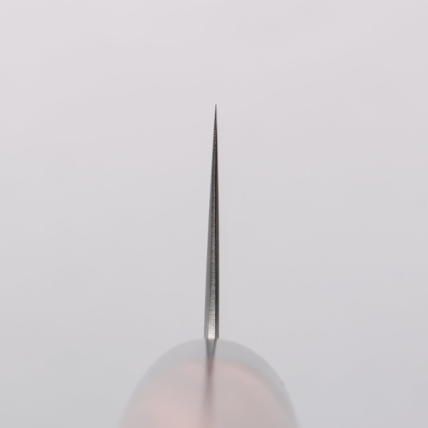 清助 青スーパー鋼 牛刀包丁 180mm 紫檀 (口輪:黒合板)柄 - 清助刃物