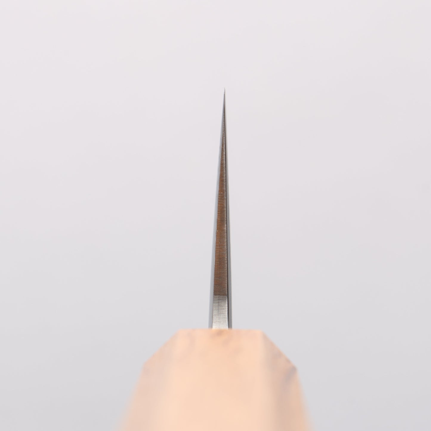 清助 SLD鋼 49層ダマスカス 牛刀包丁 210mm 樫柄 - 清助刃物