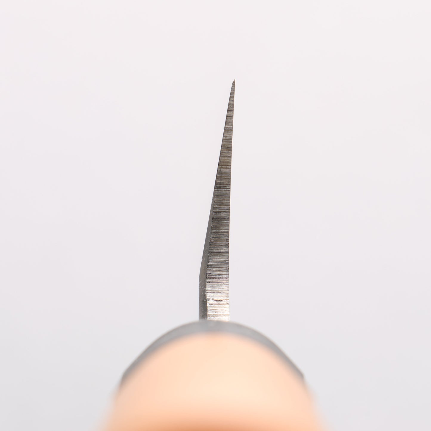 堺 孝行 モリブデン鋼(MOL) 薄刃包丁 プラスチック抗菌柄 - 清助刃物