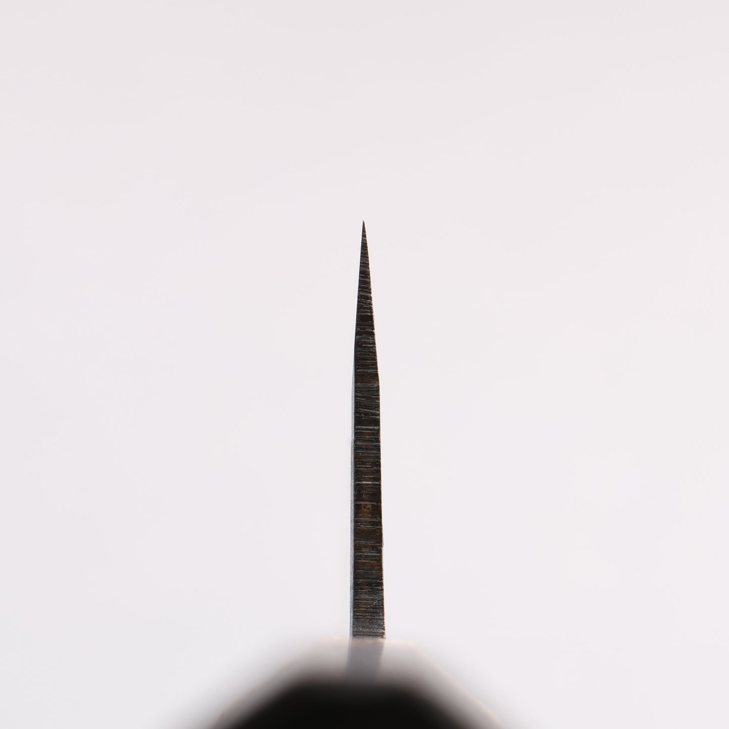 清助 青一鋼 黒仕上げ 牛刀包丁 210mm 焼栗 (口輪:サクラ)柄 - 清助刃物