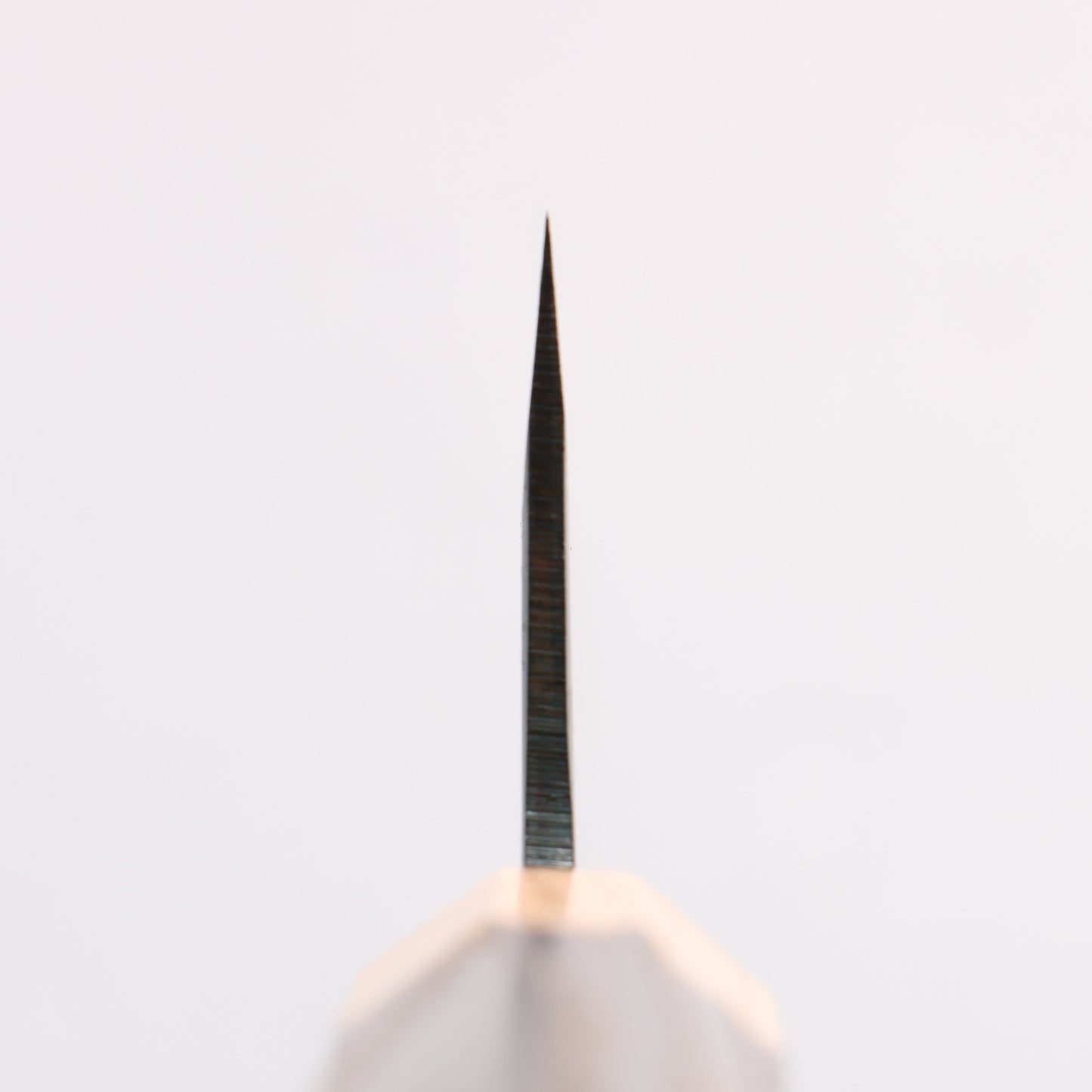 清助 青スーパー鋼 黒仕上げ 文化包丁 180mm 焼栗 (口輪:サクラ)柄 - 清助刃物