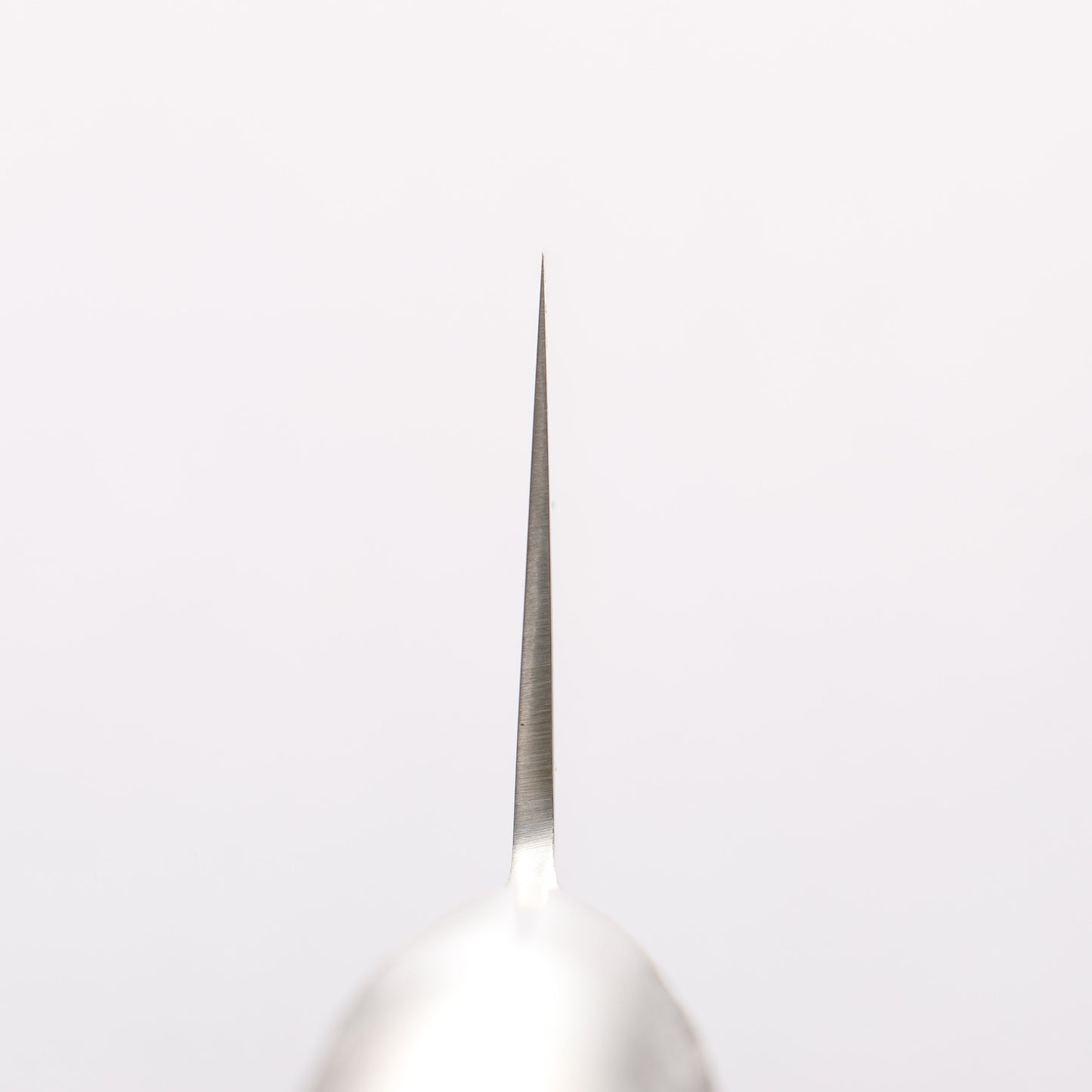 堺 孝行 INOXプロ モリブデン鋼 牛刀包丁 240mm - 清助刃物
